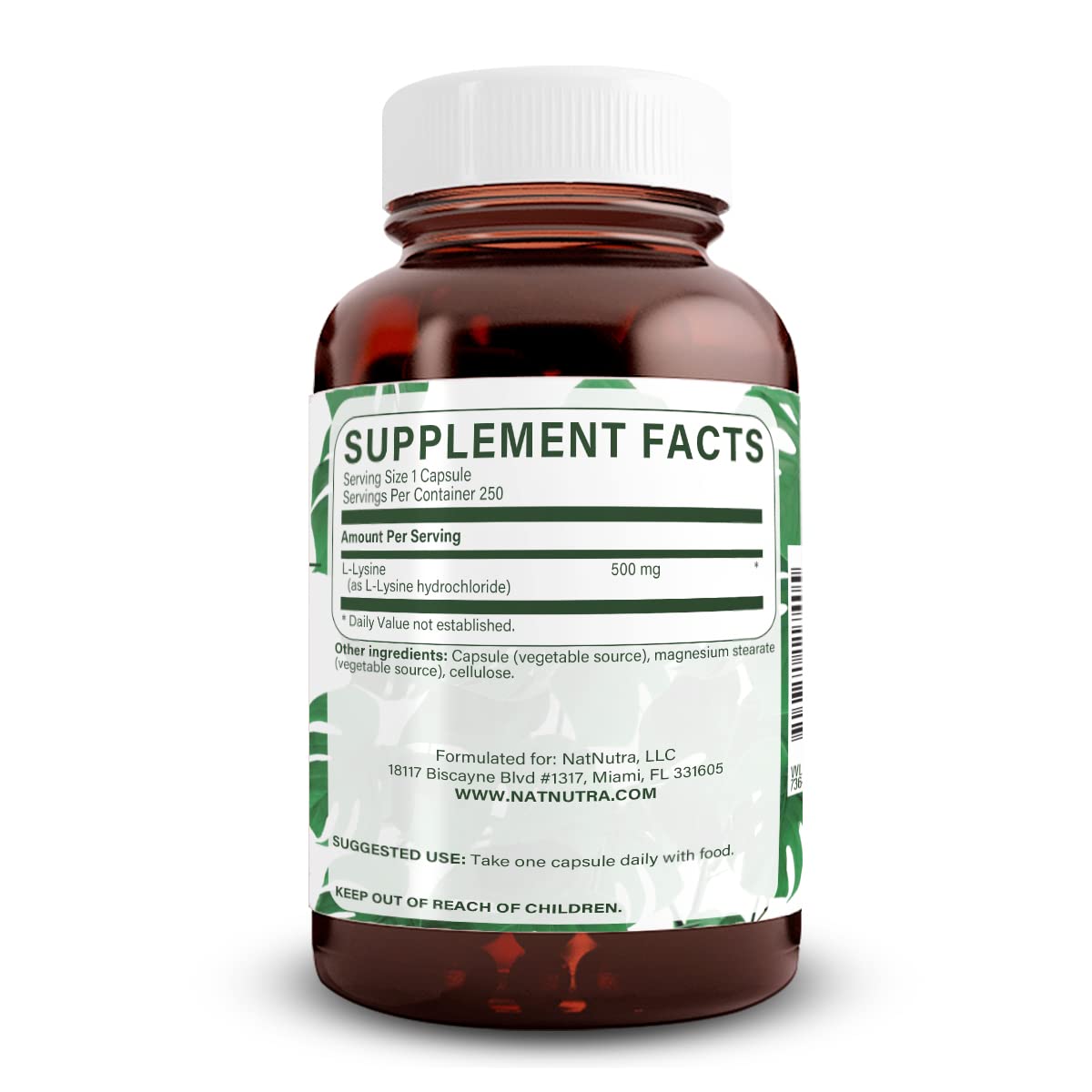 Natural Nutra L Lysine HCl, Promotes Bone Health and Growth, Support Skin Health, Improve Vitamin C Absorption, Helps Built Collagen, Improve Calcium Absorption, Non-GMO, Vegan, 500 mg, 250 Capsules.