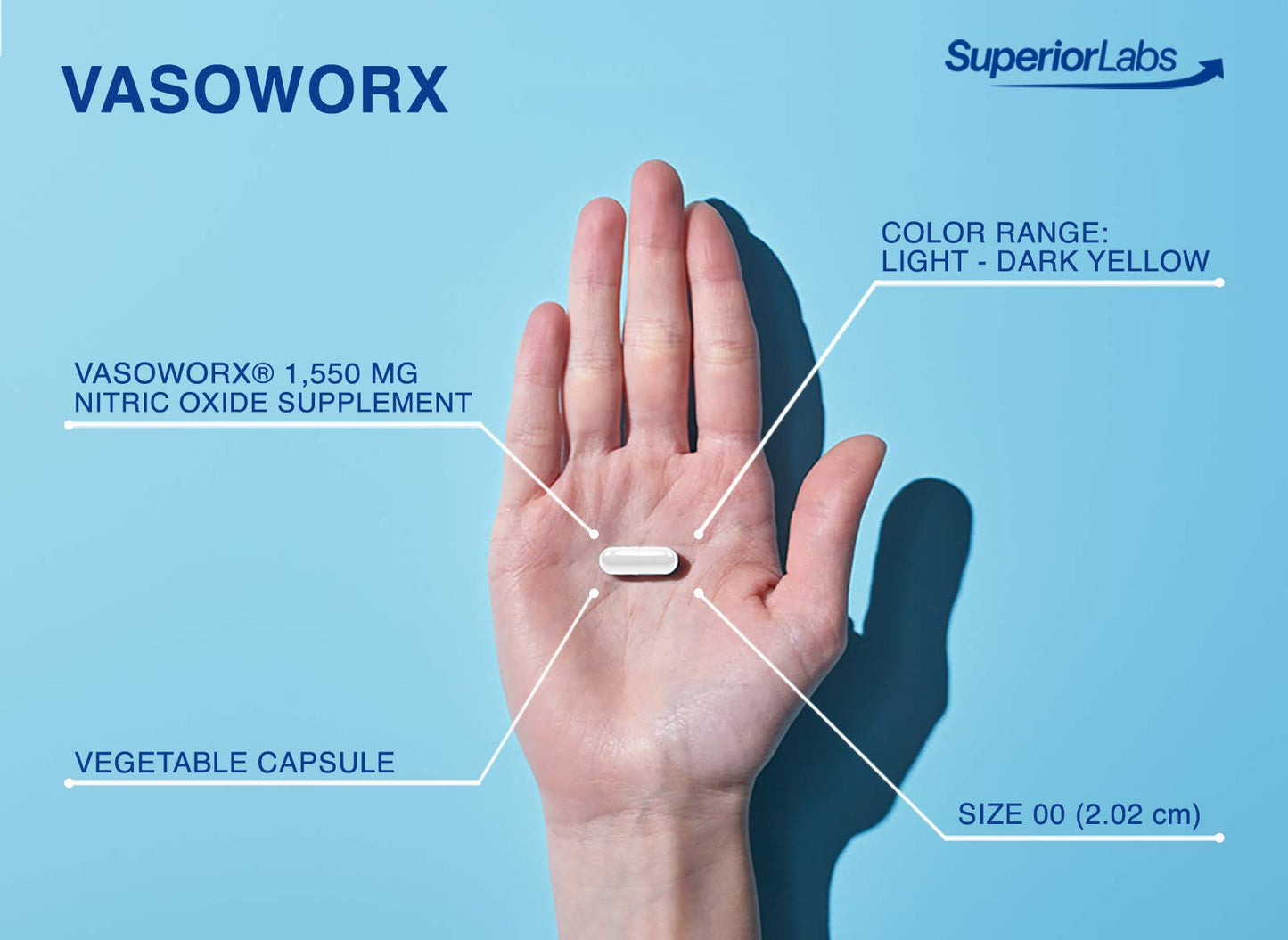 Superior Labs - VASOWORx® - Nitric Oxide Supplement - Extra Strength - 1,600 mg, 180 Vegetable Capsules - 7 Powerful Ingredients - Increased Energy, Stamina, & Circulatory Support