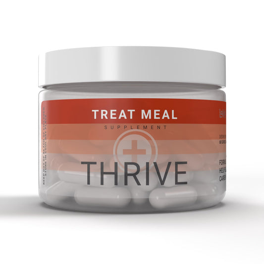 Le-Vel Thrive Plus - Treat Meal | Bloating Relief, Digestive Support | Premium Digestive Care, Health Supplement | White Kidney Bean Extract, Cinnamon Bark Extract, and Apple Cider Vinegar