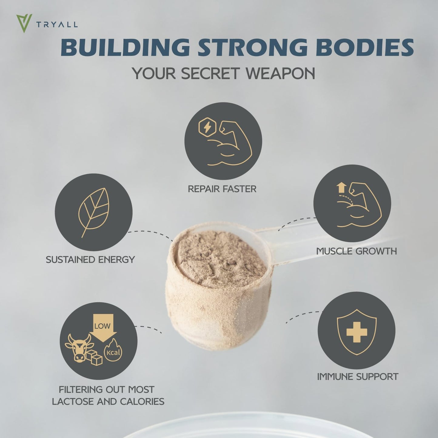 TRYALL Plant Based Pea Protein Powder Isolate (20g of Protein) Travel Sachets (Almond Milk, 10 Packs)