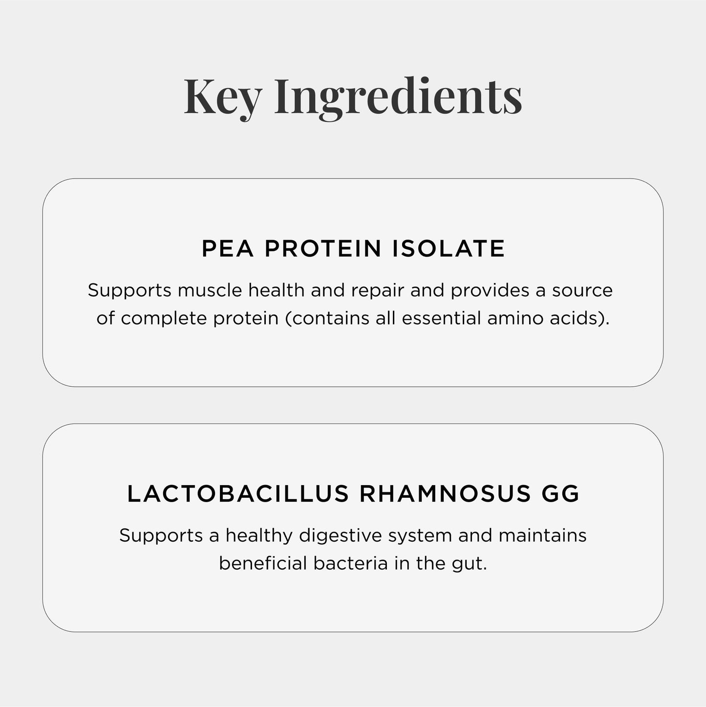 JSHealth Vegan Pea Protein Powder with Probiotics - Vanilla Bean Flavor - Gluten Free, Non GMO, Plant Based Protein Drink Mix, 300g