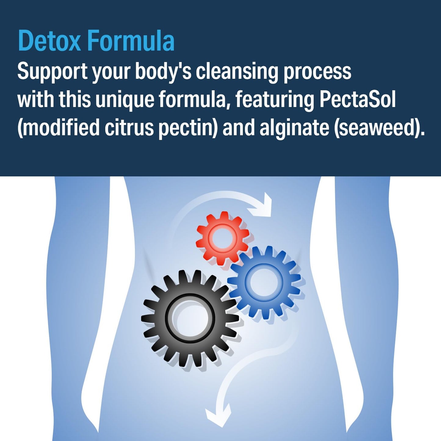 Advanced Bionutritionals - PectaSol Formula, Supplement, Modified Citrus Pectin, Alginate (Seaweed) (60 Tablets)