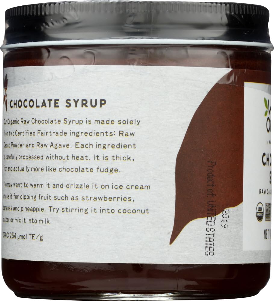 WILDERNESS PRODUCTS Syrup Chocolate Pack of 6 Size 20 OZ Gluten Free GMO Free Kosher Vegan Wheat Free Yeast Free 95 Organic