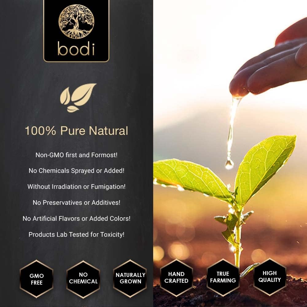 bodi : Hoodia Gordonii 20:1 Extract Powder | 4oz to 5lb | Pure Natural Chemical Free (4 oz)