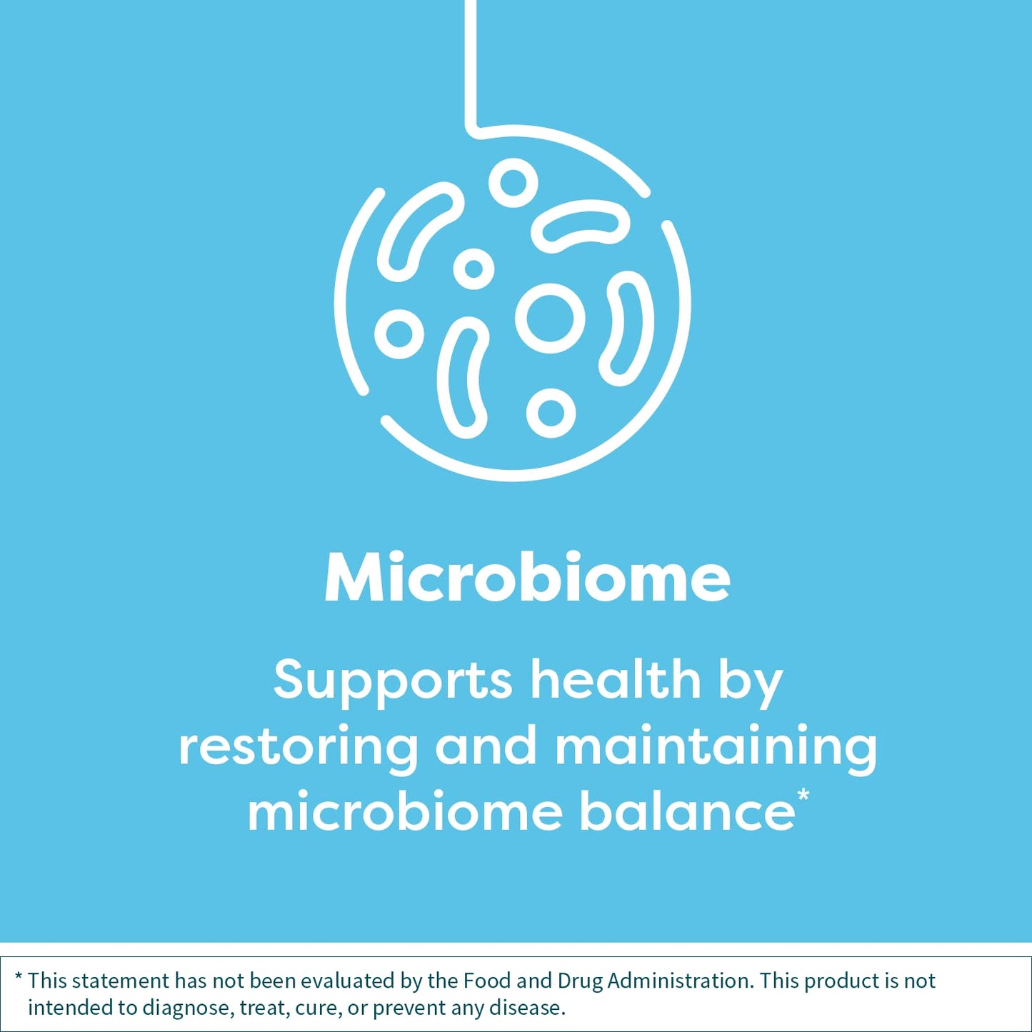 Klaire Labs Ther-Biotic Detox Probiotic Supplement - 50b CFU Probiotics - Supports Body Detoxification, Digestive & Colon Health - Hypoallergenic Lactobacillus & Bifidobacterium (60 Capsules / 2 Pack)