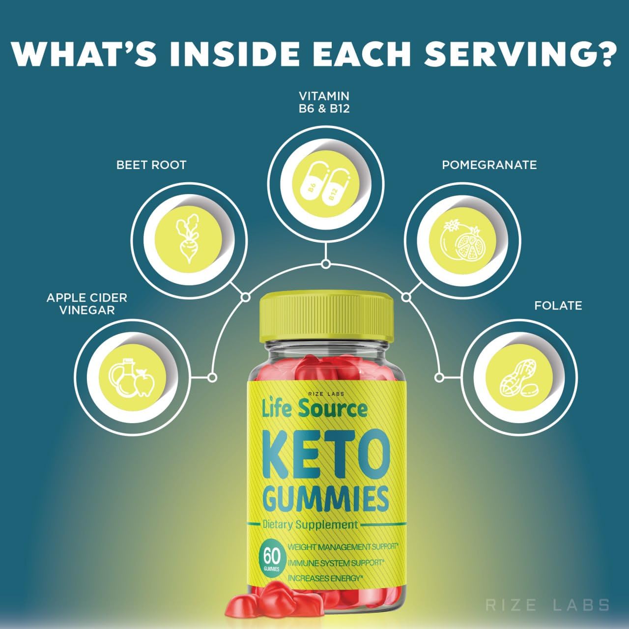 rize labs - Life Source Keto ACV Gummies for Advanced Weight Loss with Apple Cider Vinegar, Supplement Helps in Reducing Belly Fat (60 Gummies)