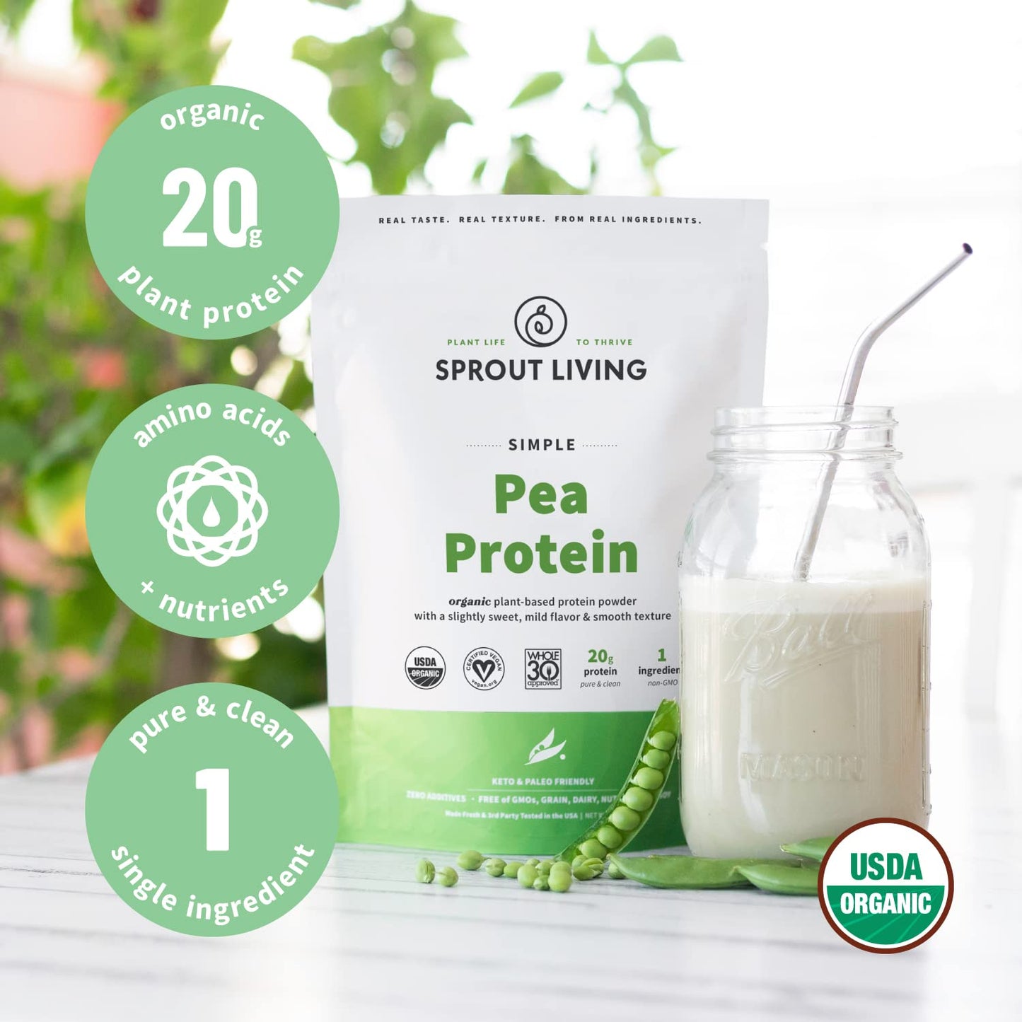 Sprout Living Organic Pea Protein Powder, 20 Grams of Plant Based Organic Protein Powder Without Artificial Sweeteners, Non Dairy, Non-GMO, Dairy Free, Vegan, Gluten Free, Keto Drink Mix (5 Pound)