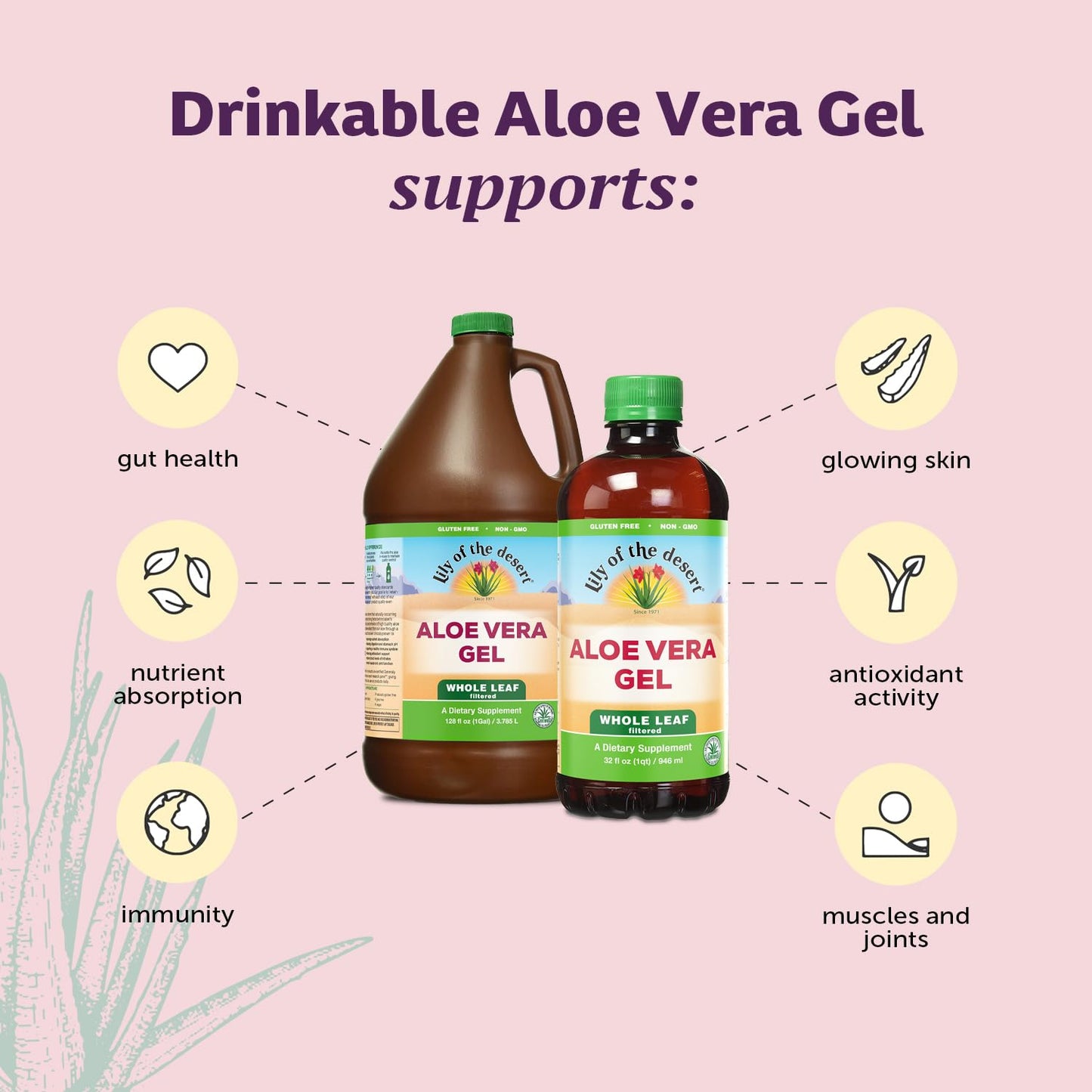 Lily of the Desert Aloe Vera Gel, Preservative Free - Whole Leaf Filtered Thicker Consistency Aloe Vera Drink with Natural Vitamins, Digestive Enzymes for Gut Health, Wellness, Glowing Skin, 128 Fl Oz