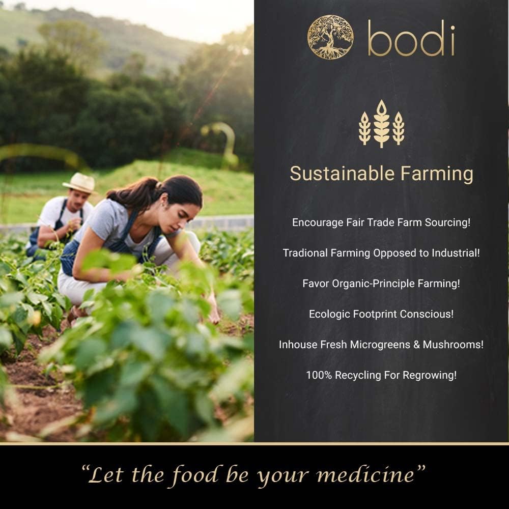 bodi : Hoodia Gordonii 20:1 Extract Powder | 4oz to 5lb | Pure Natural Chemical Free (4 oz)