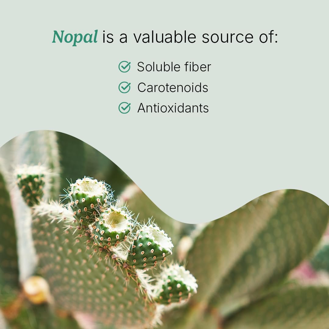 Santo Remedio Nopal Chia, Prickly Pear Cactus and Chia Powder Dietary Supplement, Clinically Proven Ingredients, Gluten Free, Non-GMO, No Added Sugar, 120 Capsules, 60 Servings Per Container