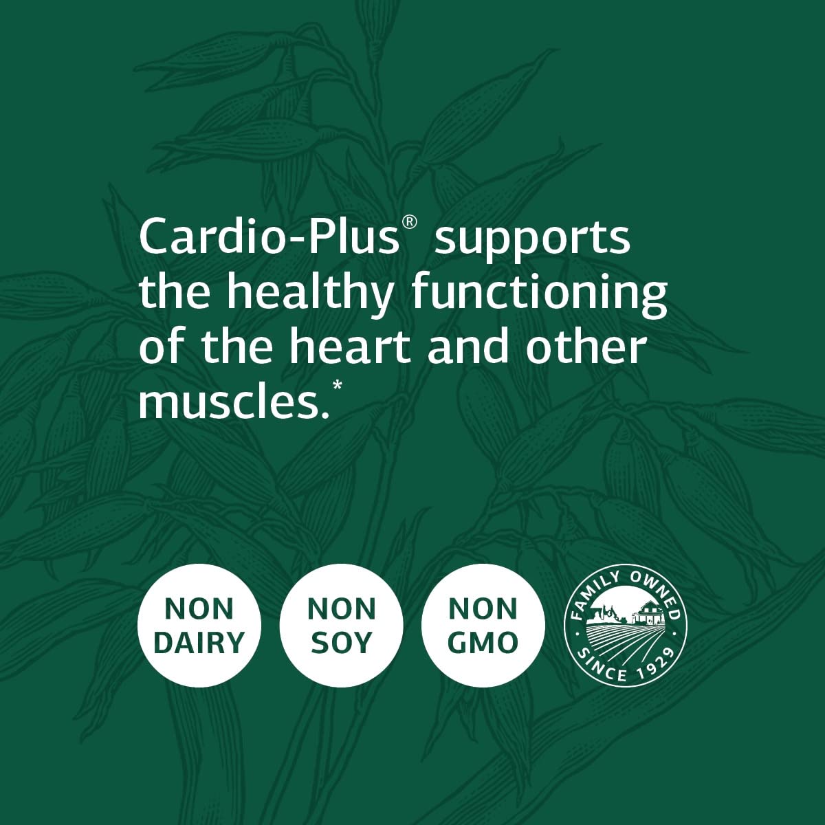 Standard Process Inc. Cardio-Plus - Antioxidant Support - Heart Health, Circulation & Blood Flow Supplement with Vitamin B6, Niacin & Riboflavin - Energy Metabolism Supplement - 330 Tablets