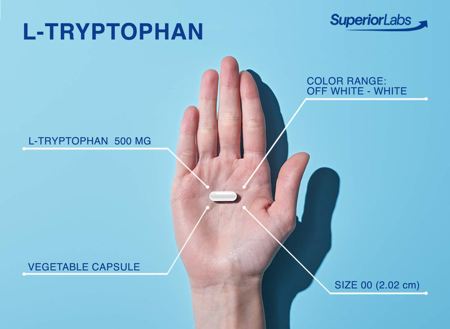 Superior Labs - Pure L-Tryptophan - 500mg, 120 Vegetable Capsules - Non-GMO Dietary Supplement for Restful Sleep & Relaxation - Supports Feelings of Well Being and Healthy Circulation Circulation