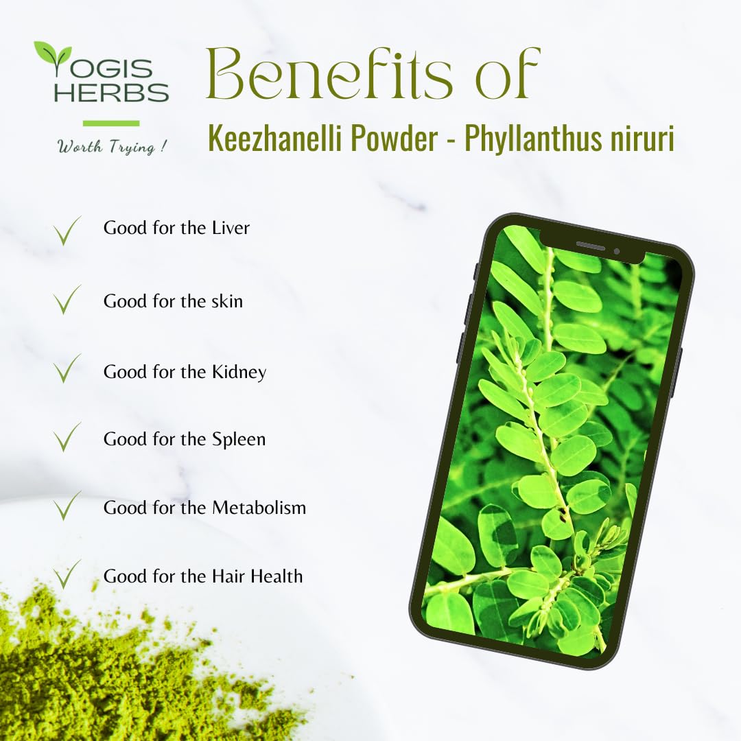 YOGIS HERBS Keezhanelli Powder (Phyllanthus Niruri) | Chanca Piedra Stone Breaker - Liver, Kidney & Gallbladder Support- Fresh & Pure Herbal Supplement (3.5 oz)
