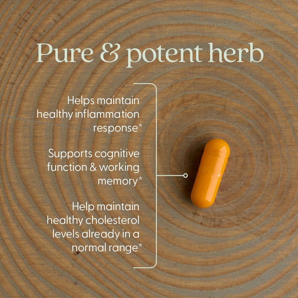 New Chapter Turmeric Supplement, One Daily, Heart, Brain & Healthy Inflammation Support, Supercritical Turmeric Curcumin Means No Black Pepper Needed, Non-GMO, Gluten Free - 120 Count (4 Month Supply)