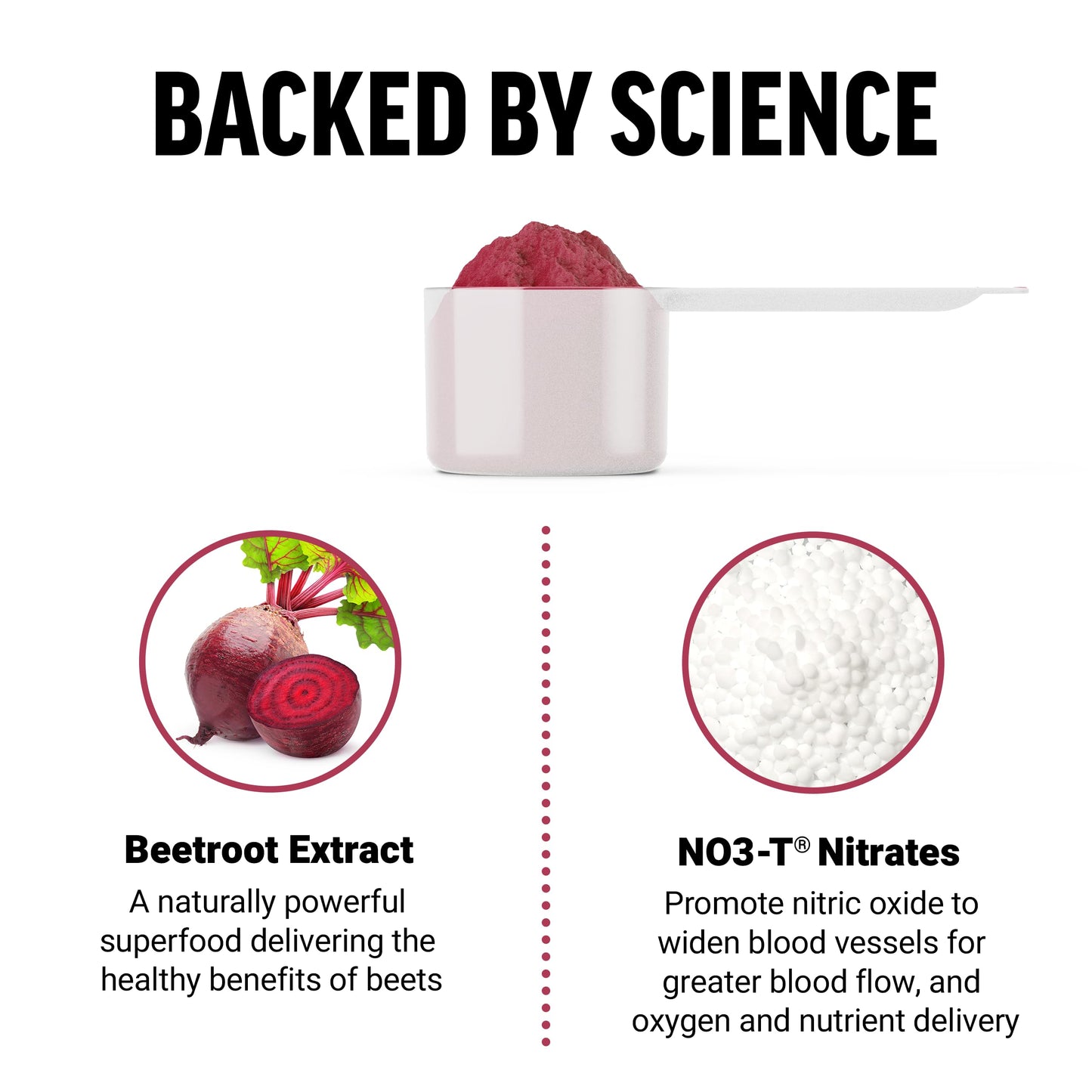 Force Factor Total Beets Drink Mix Superfood Powder with Nitrates to Support Circulation, Nitric Oxide, Energy, Endurance, and Stamina, Cardiovascular Heart Health Supplement, 60 Servings, 2-Pack