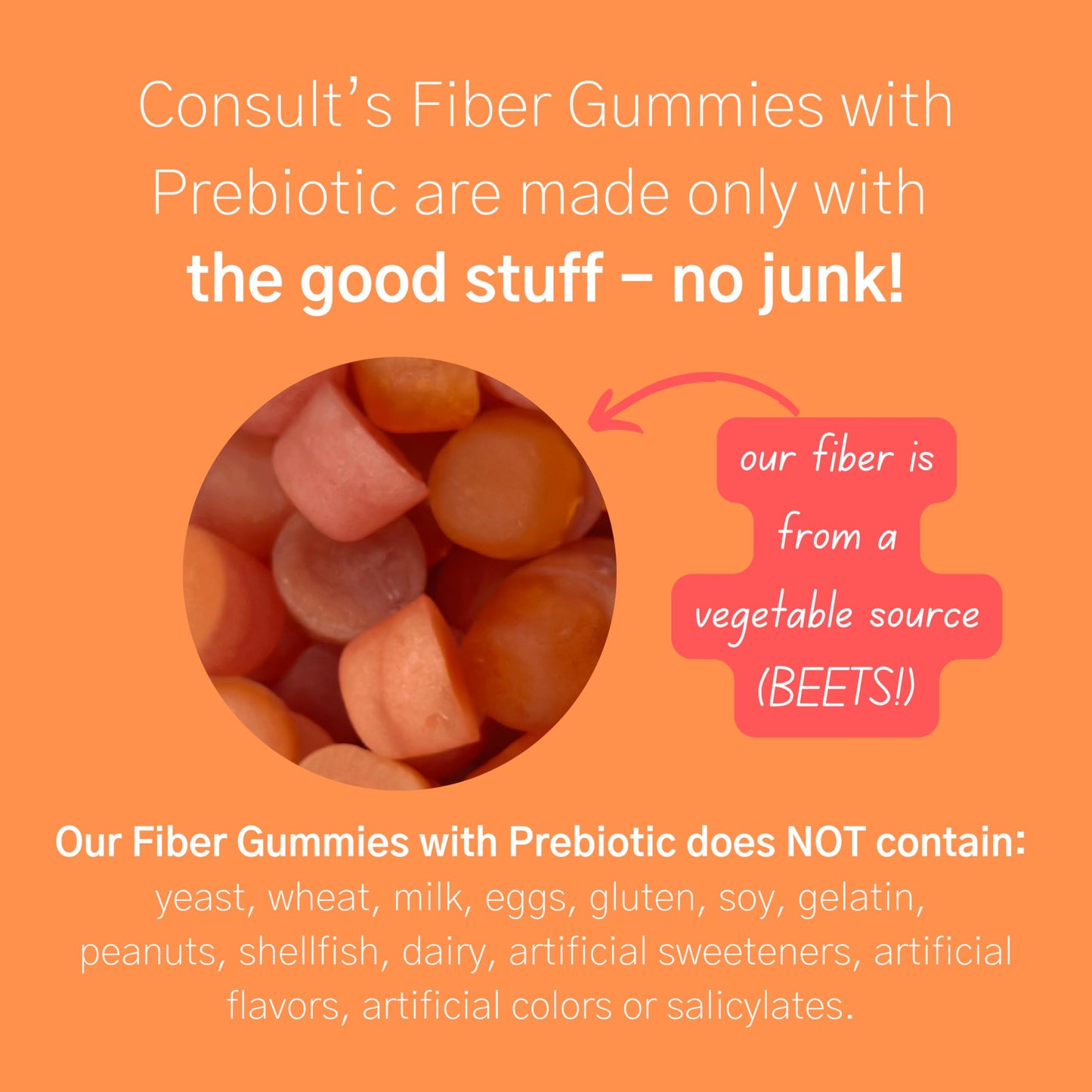 Consult Health Fiber Supplement Gummies - Sugar Free Multi Fruit Flavor - 6g Prebiotic Plant Based Fiber Blend - 120 Count