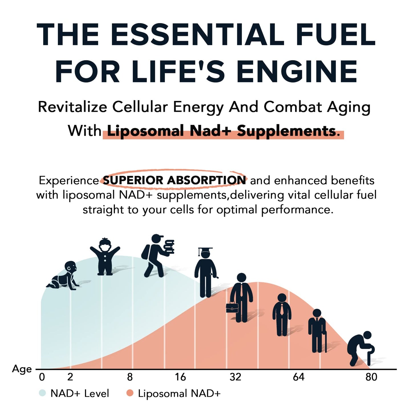 1600 mg Liposomal NAD Supplement, 98% Pure NAD+ Supplement, Superior Absorption, Alternative to Nicotinamide Riboside or NADH to Boost NAD+ for Aging Defense, Energy, Longevity,60 Softgels