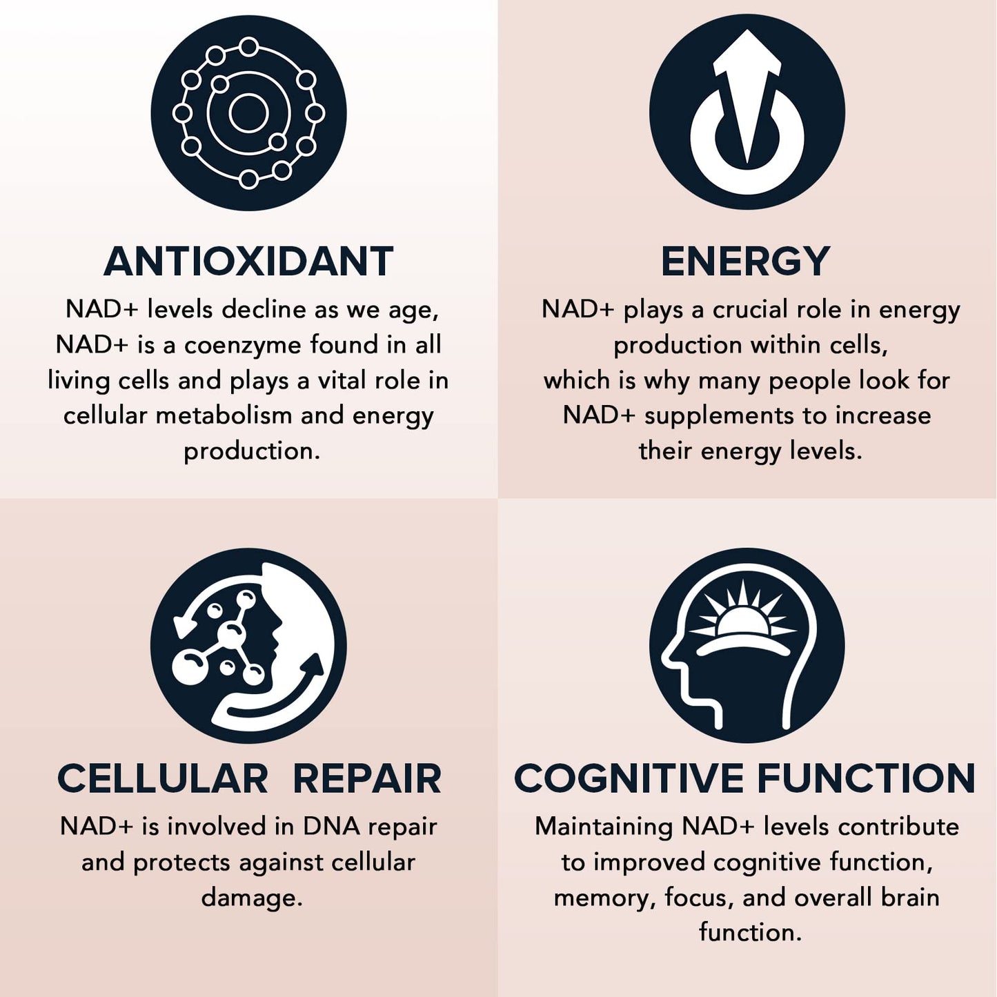 1600 mg Liposomal NAD Supplement, 98% Pure NAD+ Supplement, Superior Absorption, Alternative to Nicotinamide Riboside or NADH to Boost NAD+ for Aging Defense, Energy, Longevity,60 Softgels