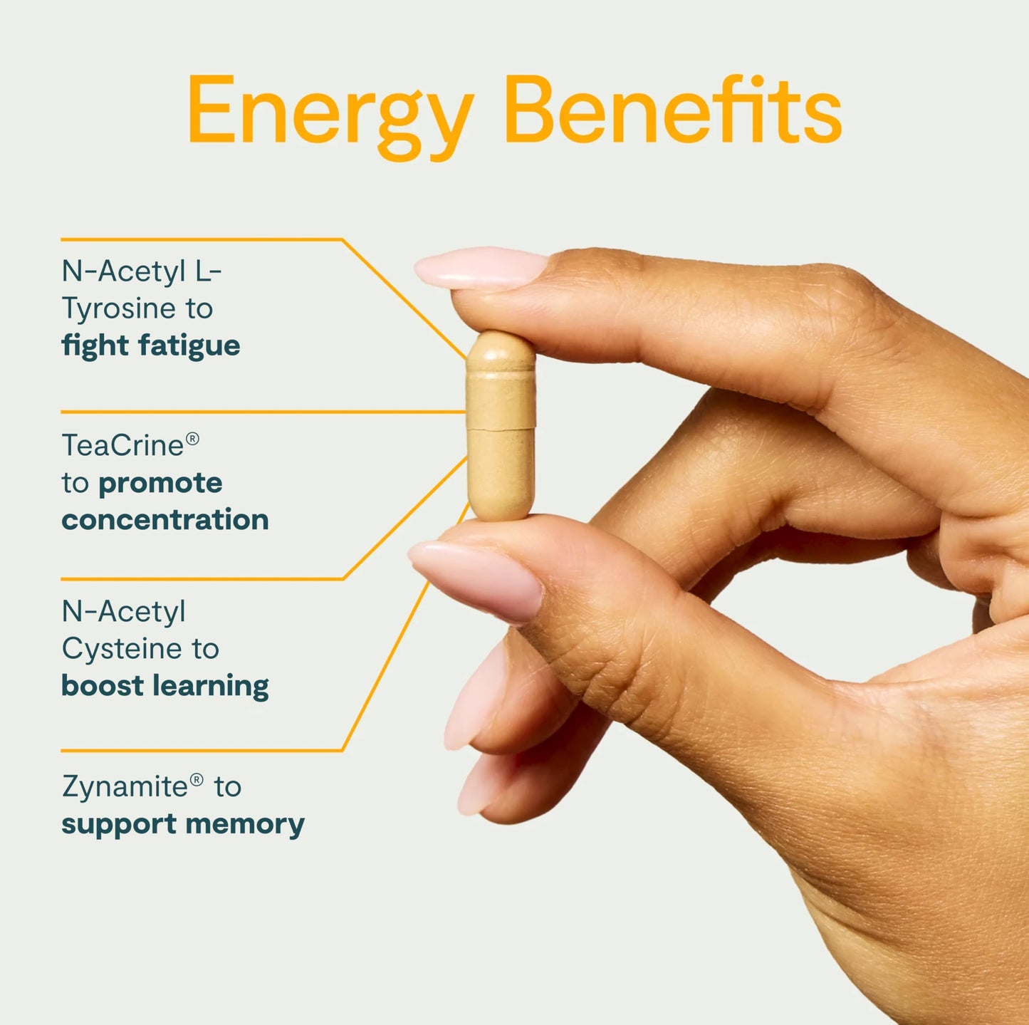Thesis Energy - Energy Supplements - Promote Daily Energy & Focus with Choline, L Tyrosine, Teacrine & More - Nootropic Brain Support (24 Servings)