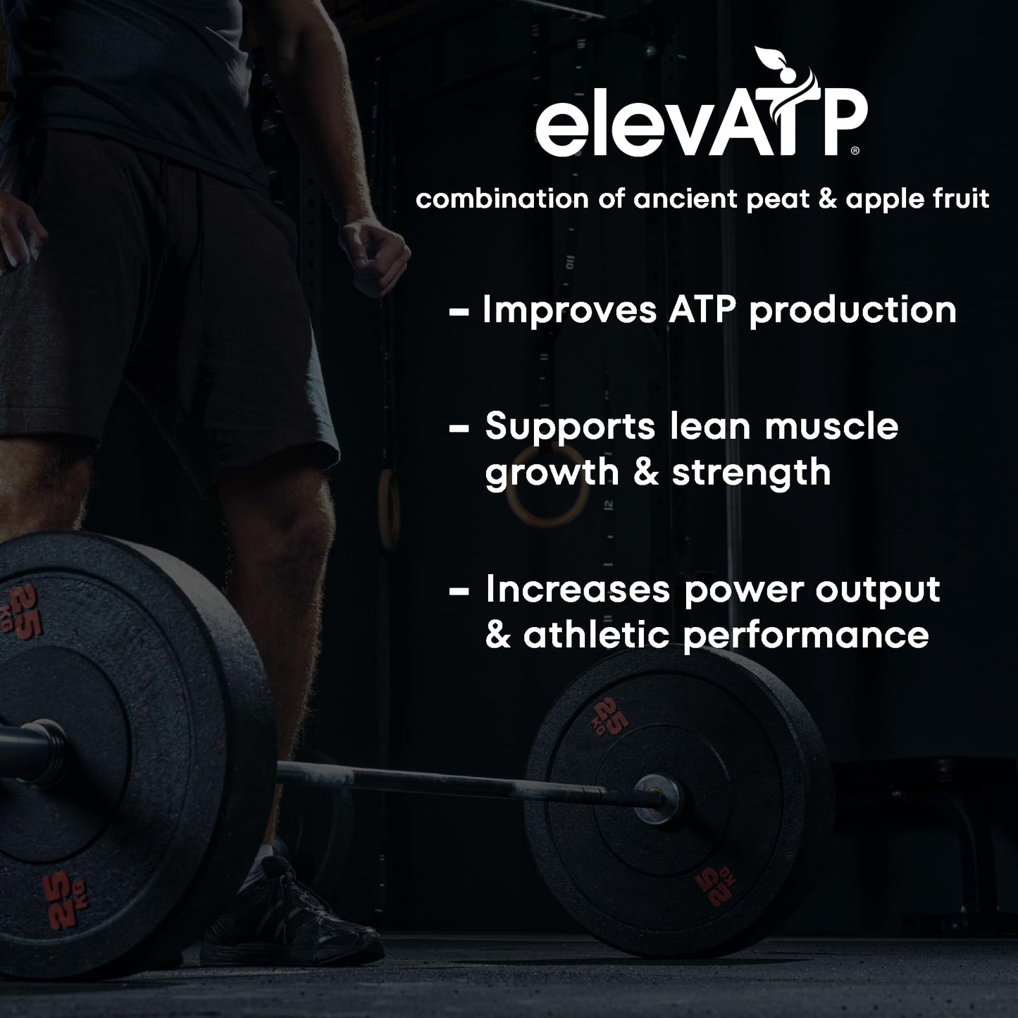 Scale Nutrition Build | Muscle Builder for Muscle Growth, Strength, Weight Gain, Endurance, Performance Enhancment for Men & Women | Trademarked Ingredients Peak02 & ElevATP | 60 Capsules