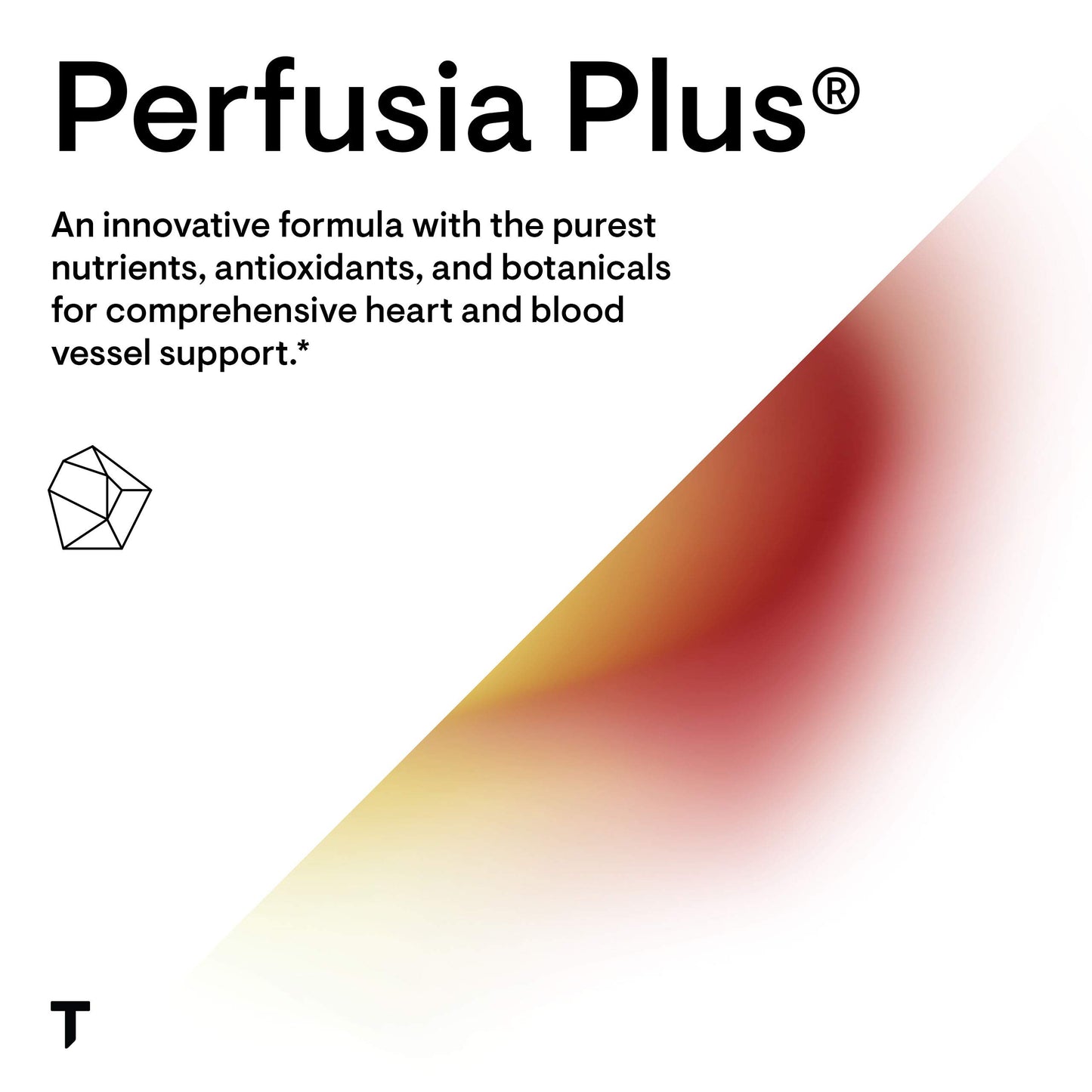 THORNE L-Arginine Plus (Formerly Perfusia Plus) - Sustained-Release Cofactors to Support Heart Function, Nitric Oxide Production & Optimal Blood Flow* - 180 Capsules