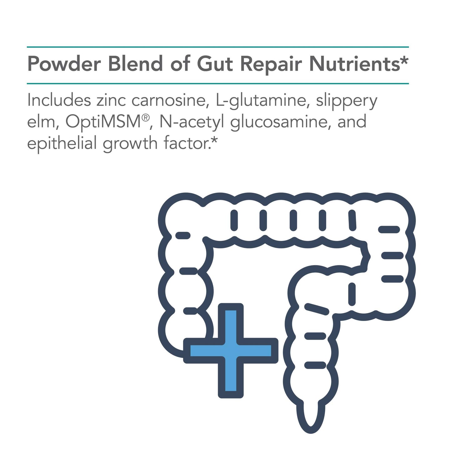 Nutricology Perm A Vite Powder - Gut Health for Men & Women, Gut Assist, Gut Support, Gut Healing, L-Glutamine, Slippery Elm - 8.4 Oz