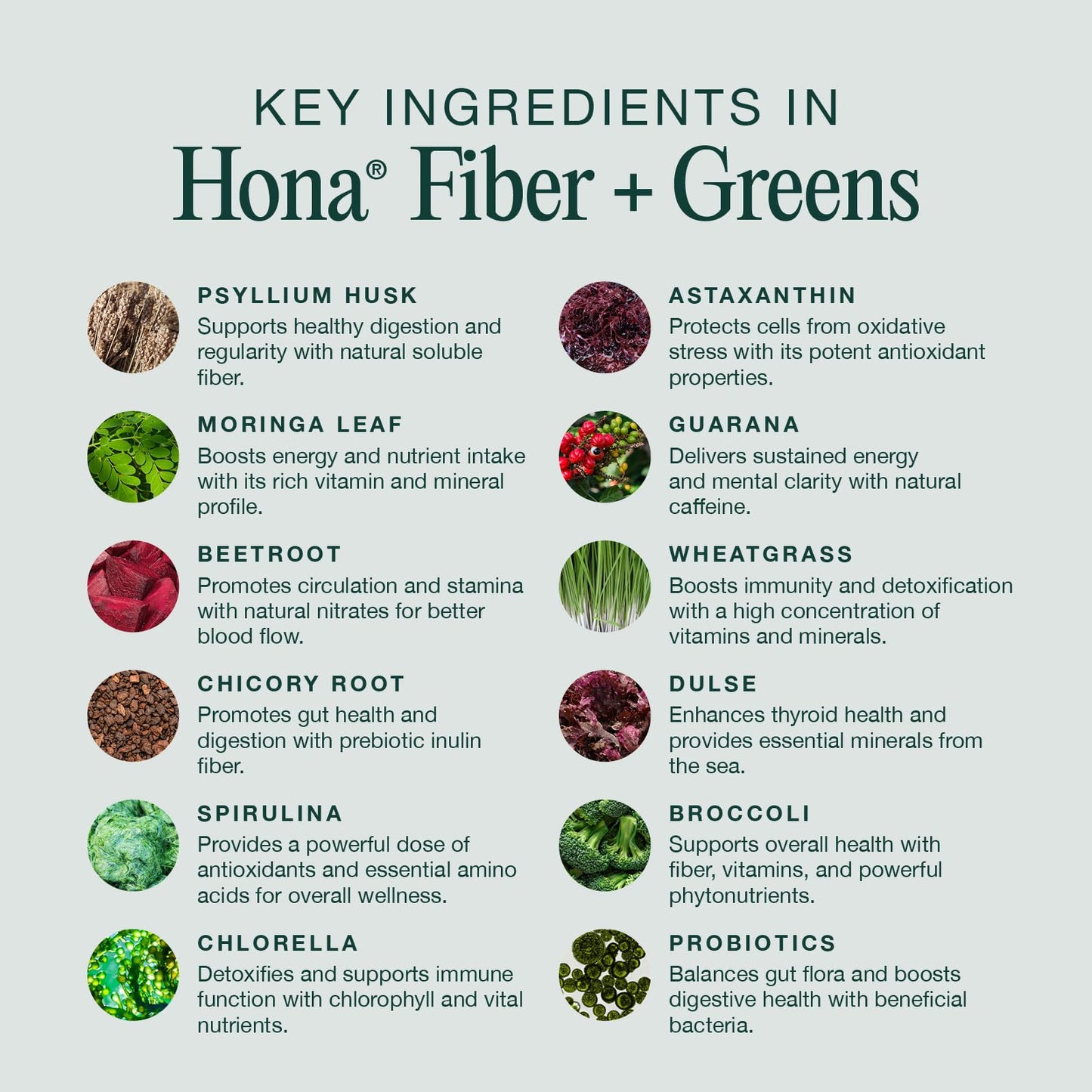 Hona Fiber + Greens, Gut & Superfood Blend, Greens Powder with Prebiotics, Probiotics, Fiber & Natural Caffeine, Gluten Free, Sugar Free, Dairy Free, Vegan Non GMO Greens Superfood Powder, 30 Srvgs