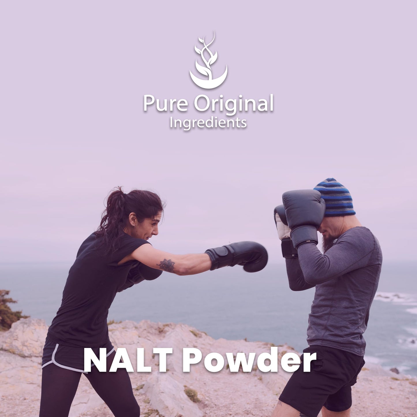 PURE ORIGINAL INGREDIENTS N-Acetyl L-Tyrosine Powder (4 oz) NALT, Always Pure, No Fillers Or Additives