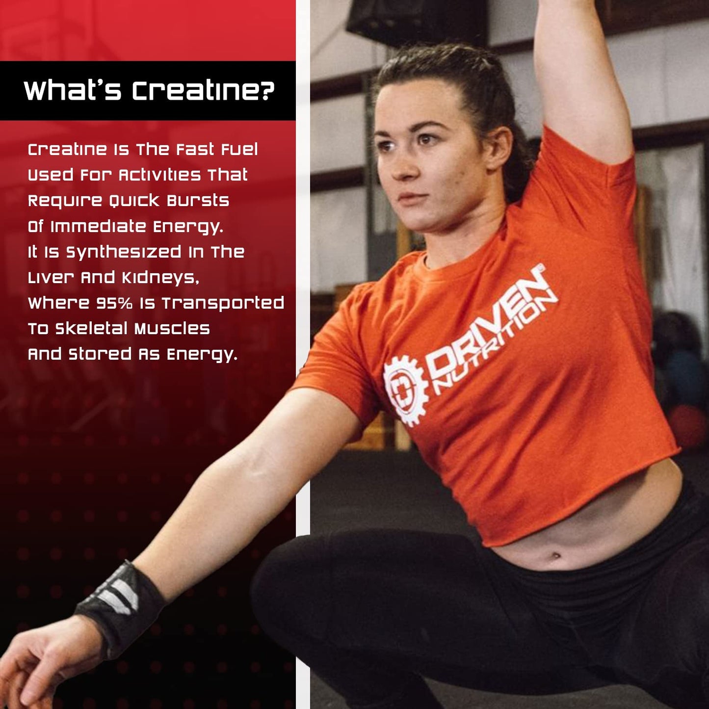 Driven Nutrition Creatine, 500g - Unflavored Micronized Powder, Physical Performance & Cognition - 5g Per Serving for Reduced Fatigue & Increased Strength, Muscle Mass, Endurance, & Speed