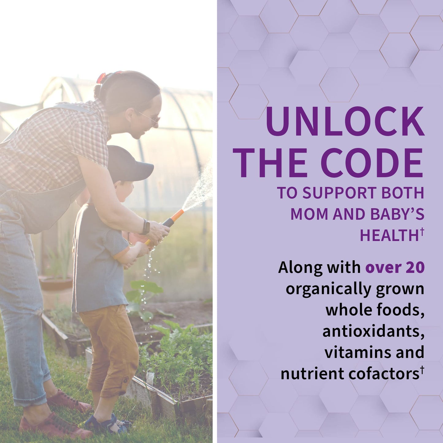 Garden Of Life, Raw Vitamin Code Prenatal 90 Organic, 90 Count