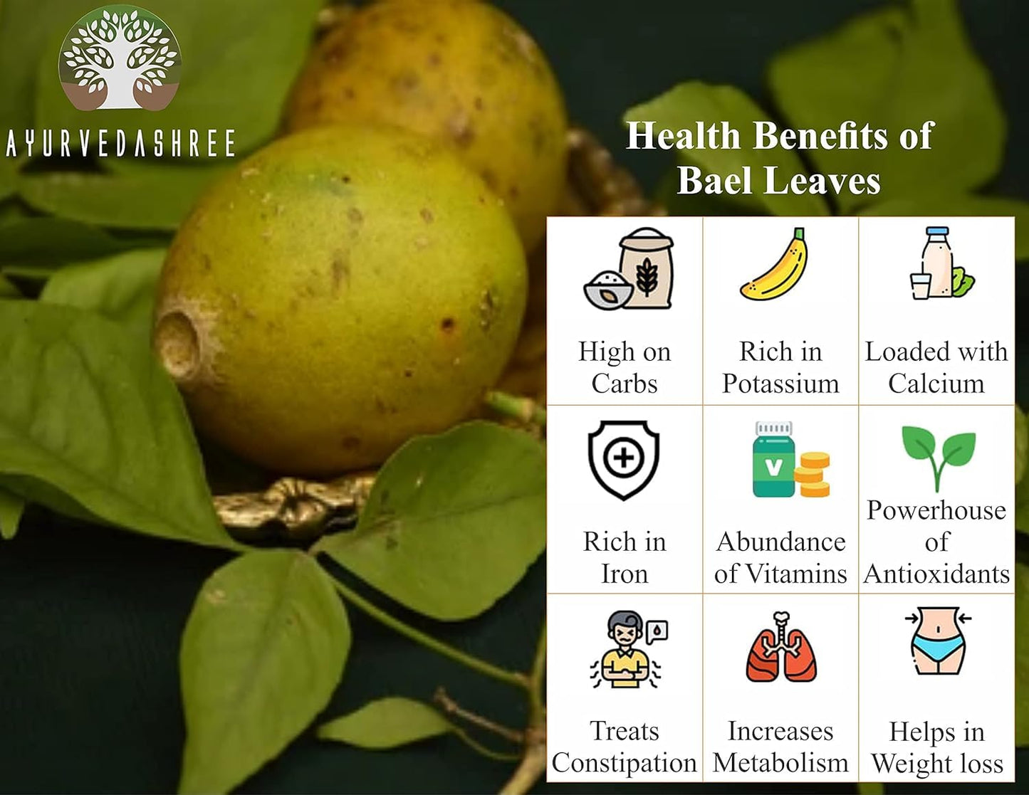 AYURVEDASHREE Bilva Powder - Bael Leaves Powder - Aegle marmelos -50 Gm - Supports Proper Function of The Bowels