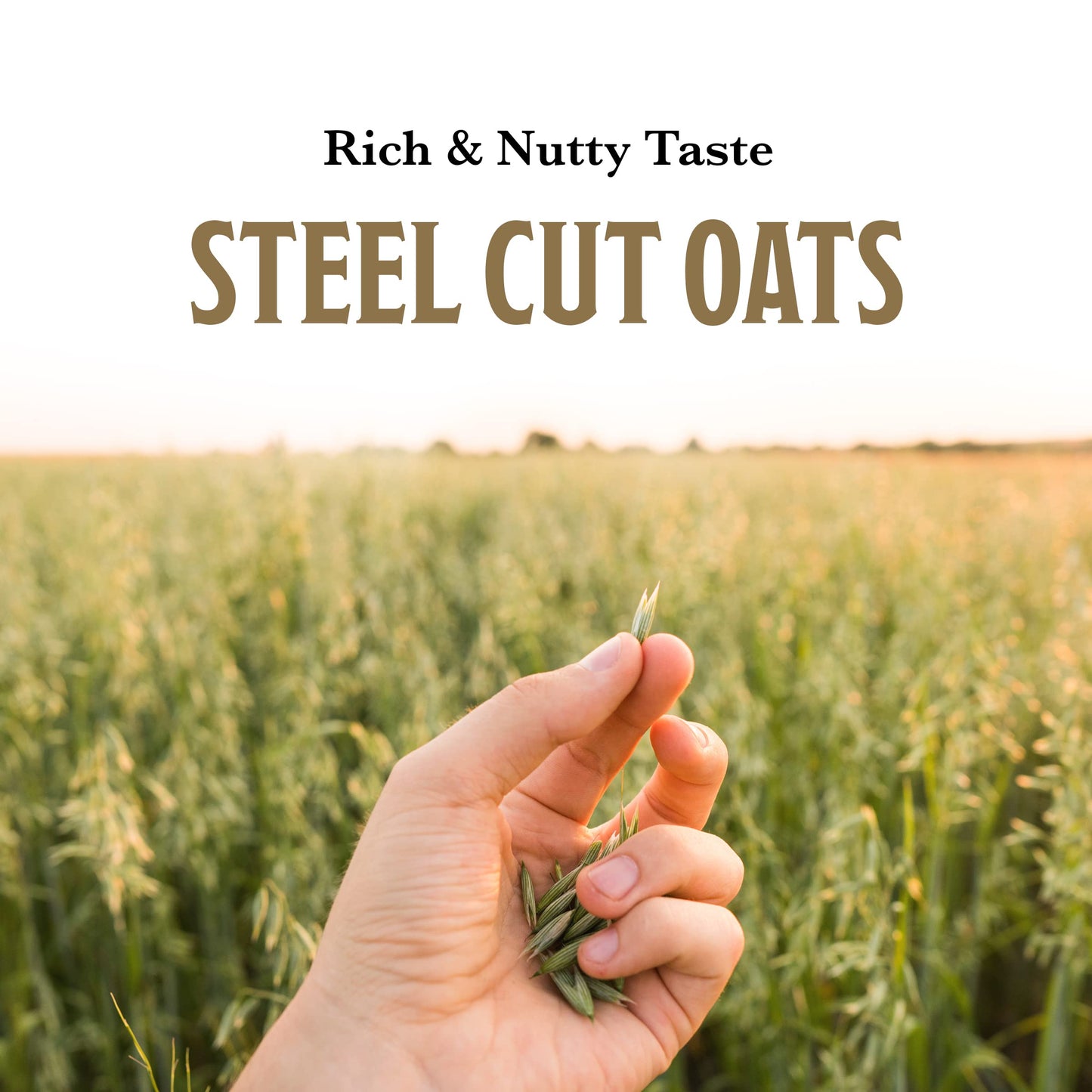 McCanns Irish Oatmeal Quick  Easy Steel Cut Oats 16 Ounce