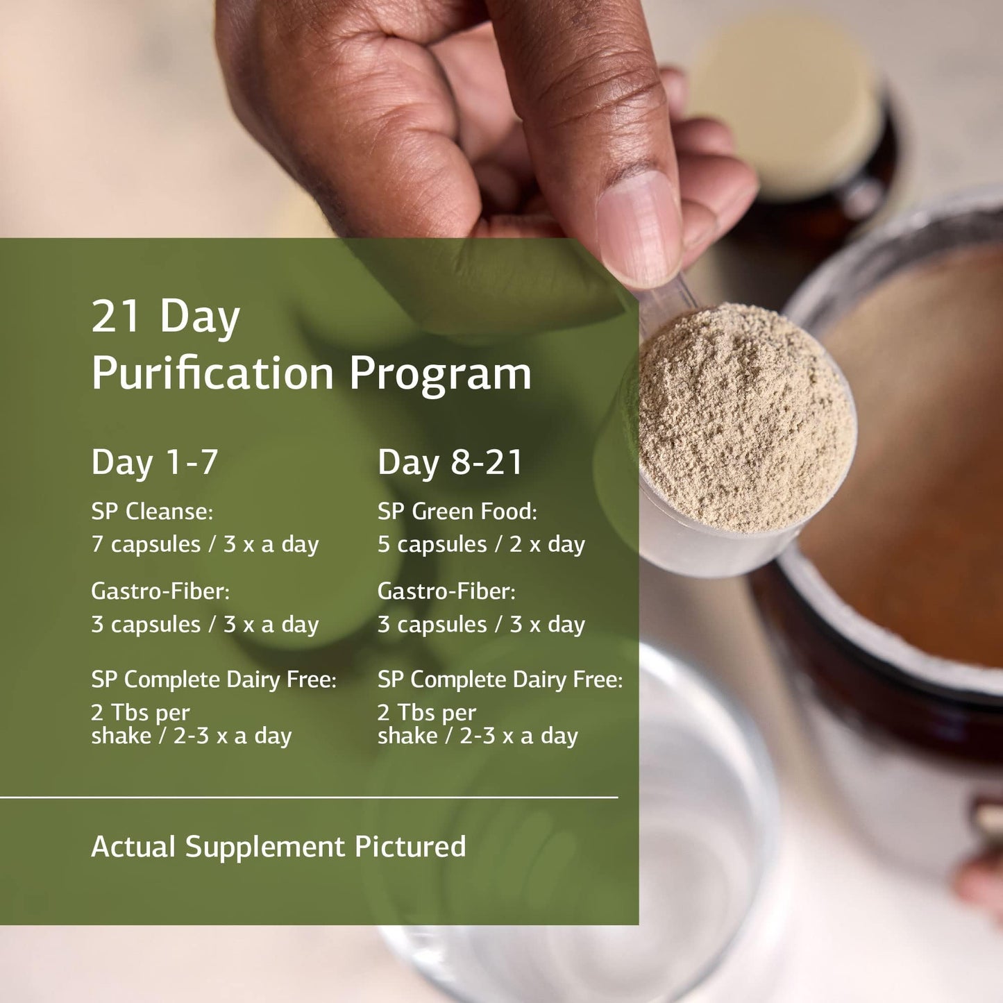 Standard Process Purification Kit with SP Complete Dairy Free and Gastro-Fiber - Detox and Liver Support with Milk Thistle, Rice Protein, Fiber, Choline, and Calcium