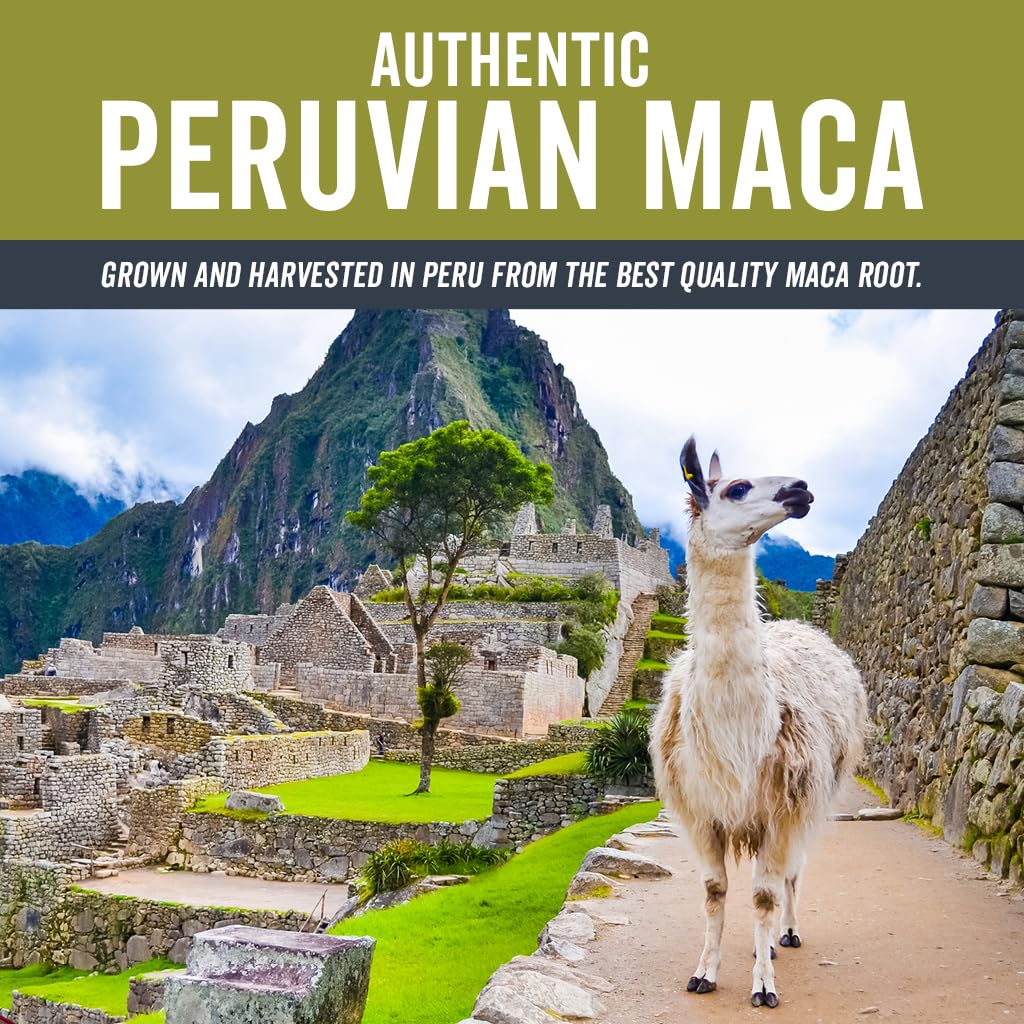 Viva Naturals Organic Maca Powder  Gelatinized Maca Powder Organic Vegan and Kosher Peruvian Superfood  Certified USDA Organic GlutenFree  NonGMO 8 oz Resealable Bag