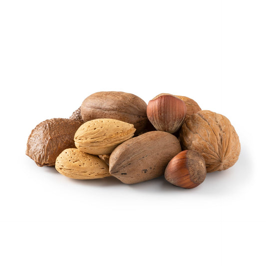 NUTS US  Mixed Nuts In Shell Almonds Walnuts Hazelnuts Pecans Brazil Nuts  No Added Colors and No Artificial Flavors  Fresh Buttery Taste and Raw Packed In Resealable Bags 6 LBS