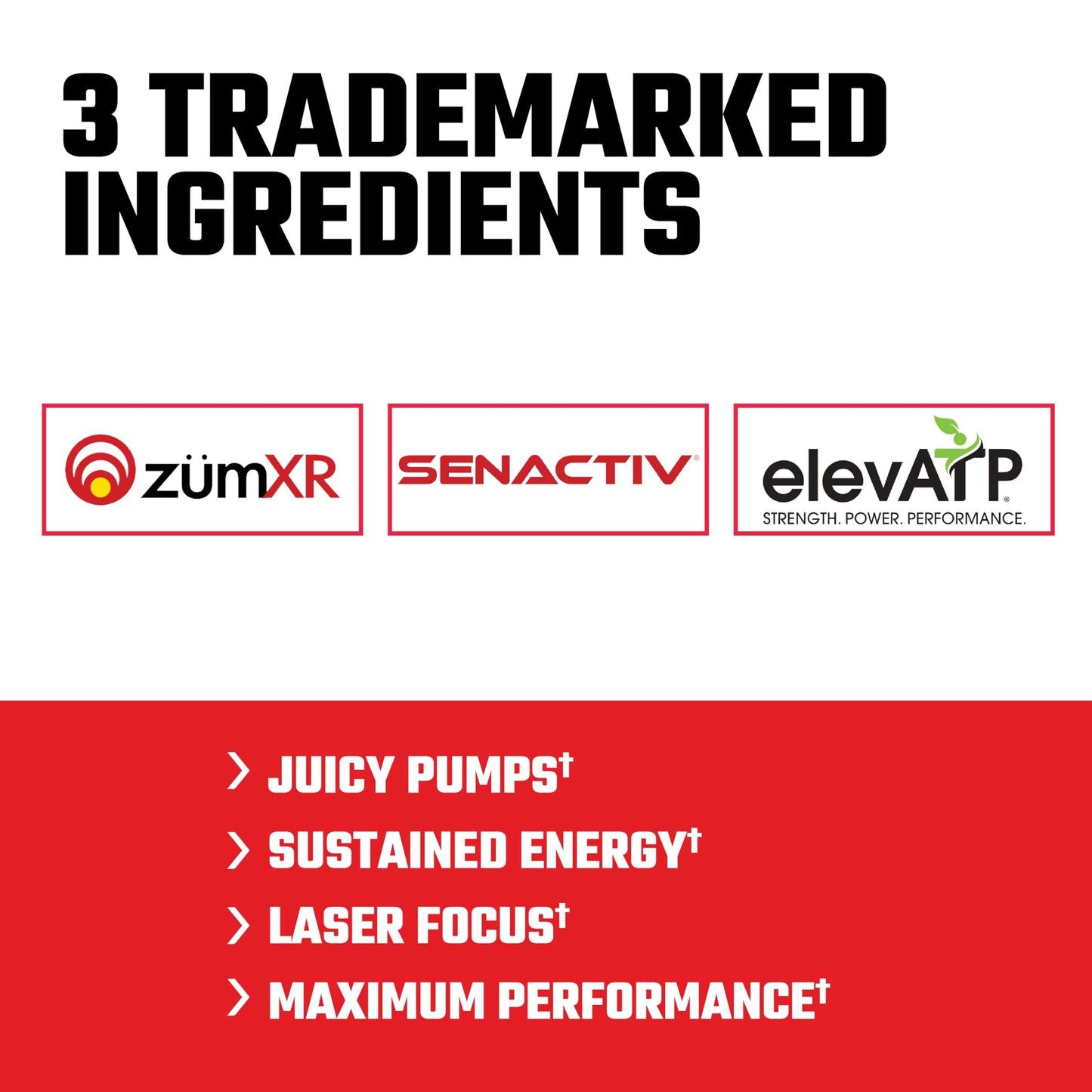 Axe & Sledge Intake Pre-Workout, 20/40 Servings (Fruit Kaboom)