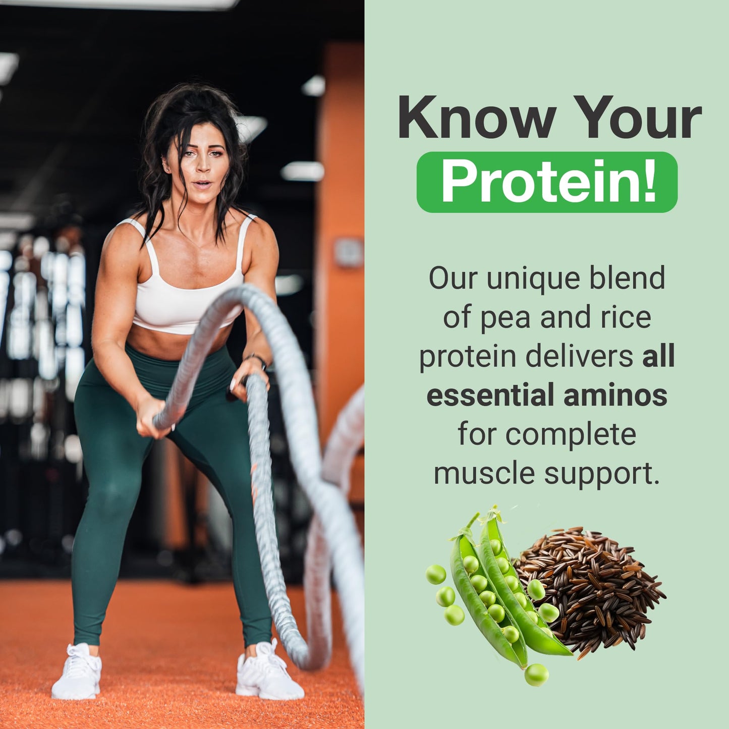 PEScience Select Vegan Plant Based Protein Powder, Peanut Butter Delight, 27 Serving, Premium Pea and Brown Rice Blend