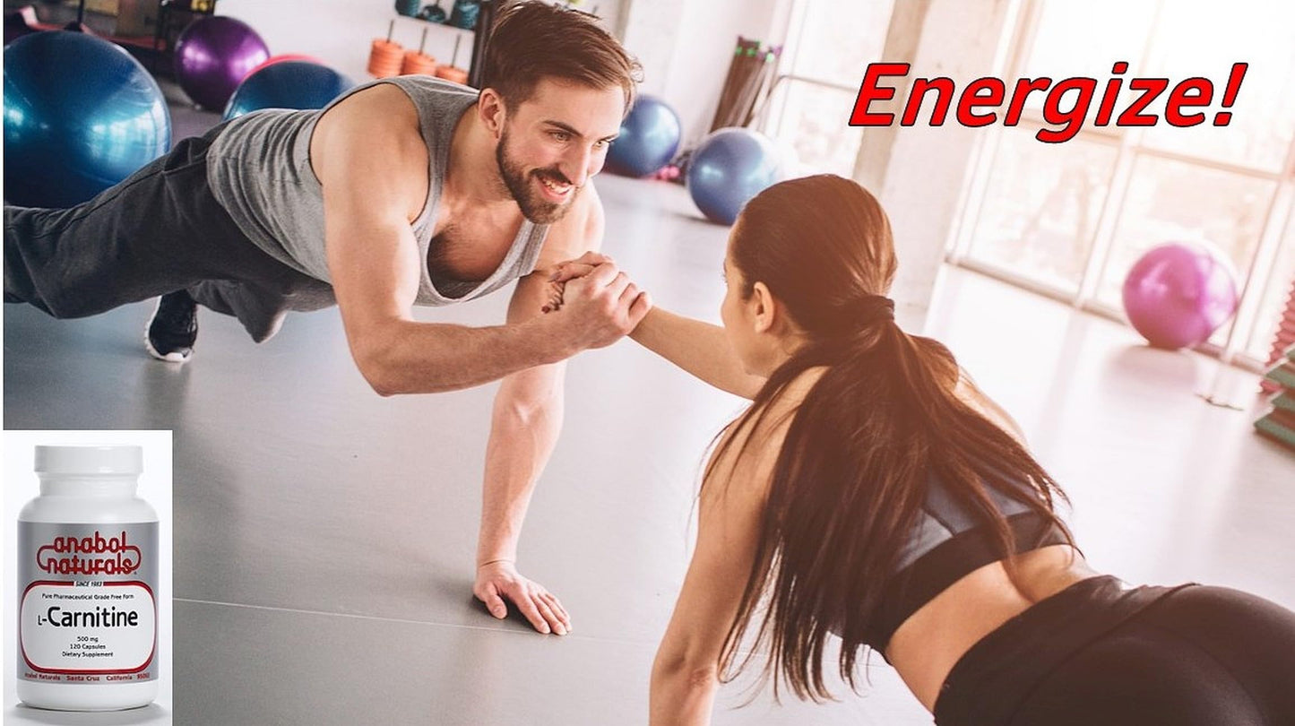 Anabol Naturals L-Carnitine 120 Capsules- 500mg Pure L-Carnitine Per Capsule, 120 Servings