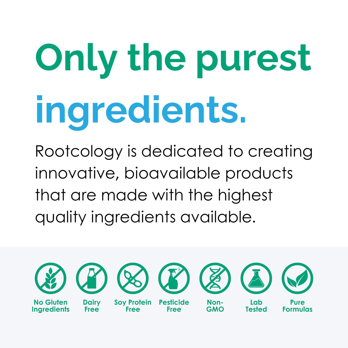 Rootcology by Dr. Izabella Wentz | Amino Support | Amino Acid Complex Capsules with L-Glutamine, Glycine & MSM | 90 Capsules