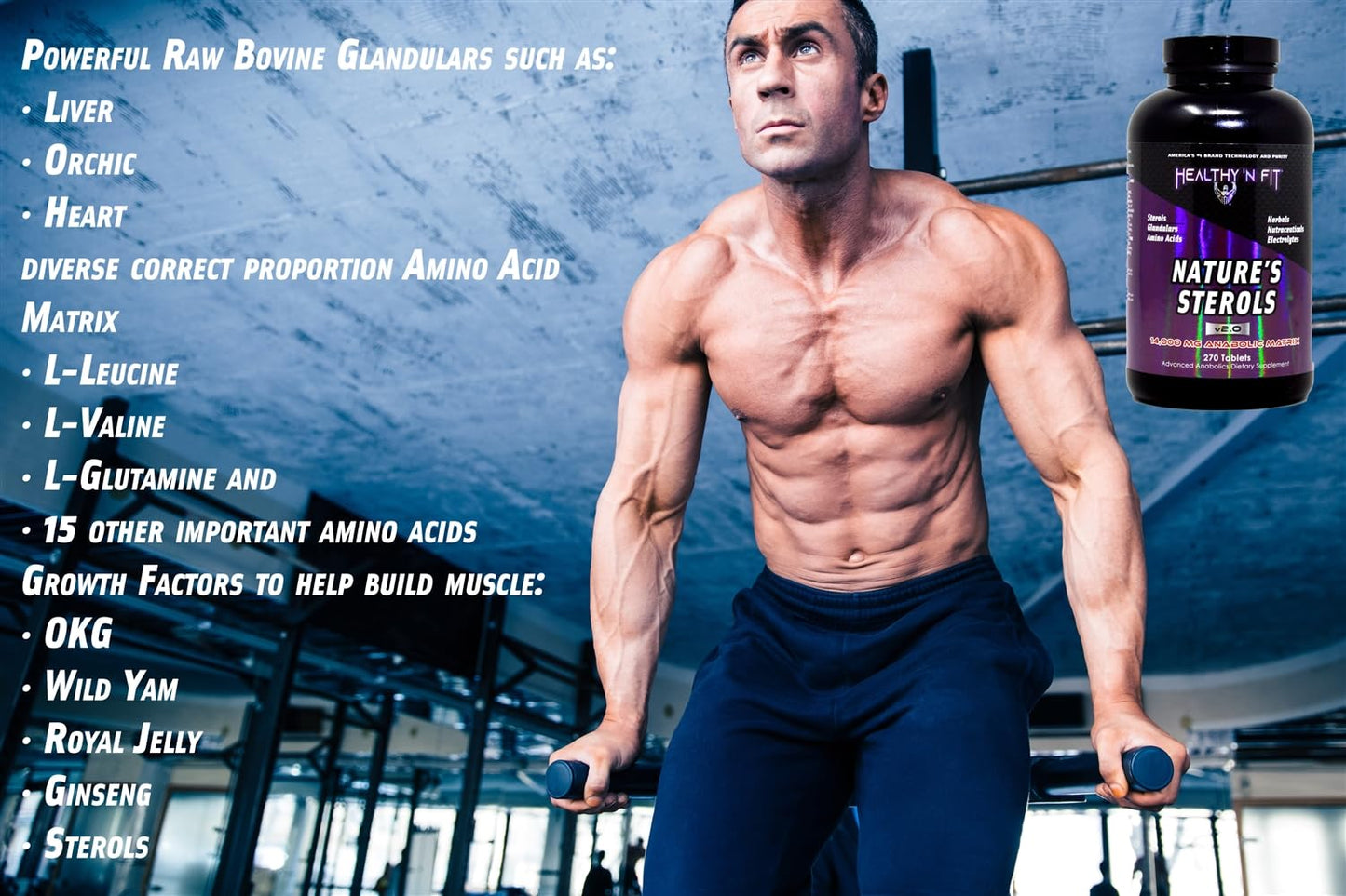 Healthy 'N Fit Nature’S STEROLS: 270 tab - Anabolics Matrix with Steroidals, Amino Acids, Nutraceuticals, Glandulars, Stim-Free Energy and Electrolytes.