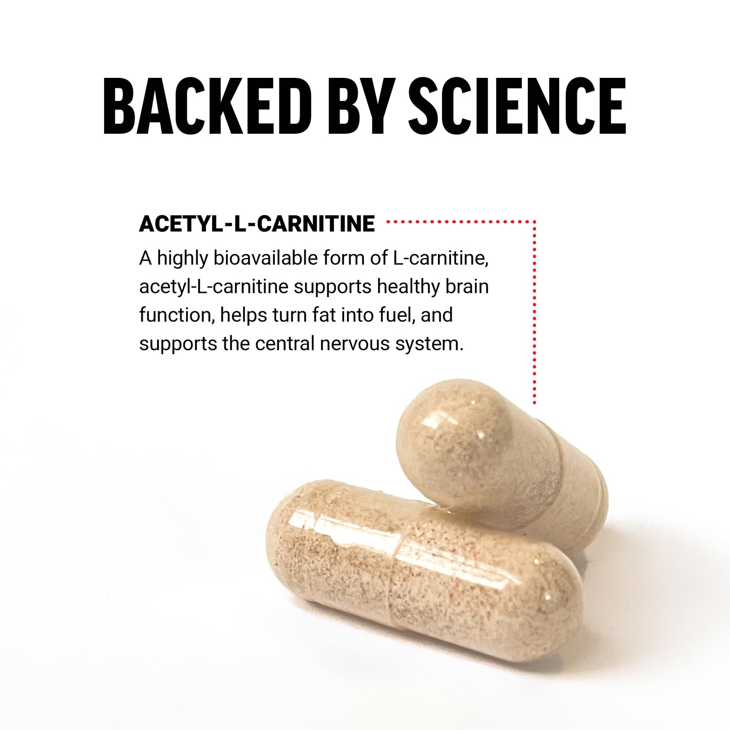 Force Factor Acetyl L-Carnitine Brain Supplement, Nerve Support Supplement, and Cellular Energy Booster, Acetyl L-Carnitine 500mg, Premium Quality, Vegan, Non-GMO, 100 Vegetable Capsules