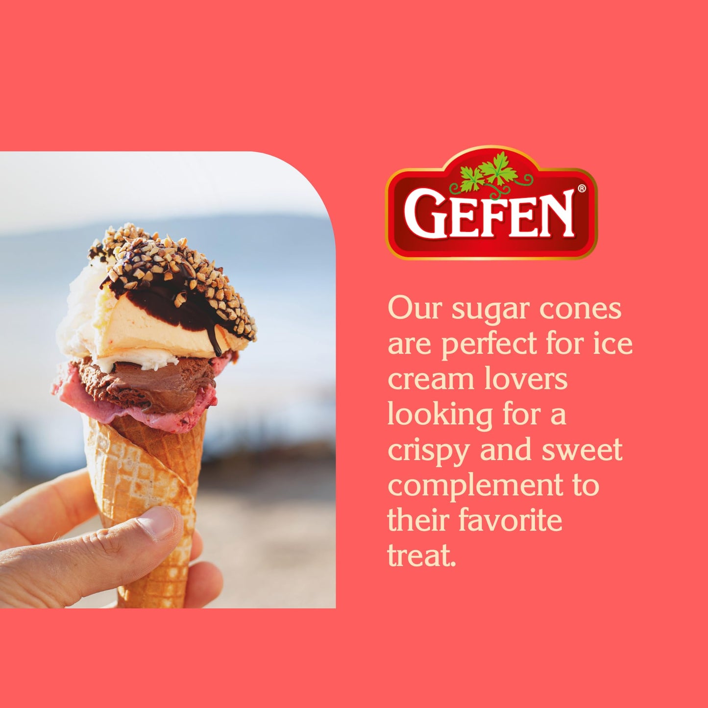 Gefen Sugar Cones 2 Pack  24 Cones  Crunchy  Delicious  Sweet Ice Cream Cones  Great for Parties