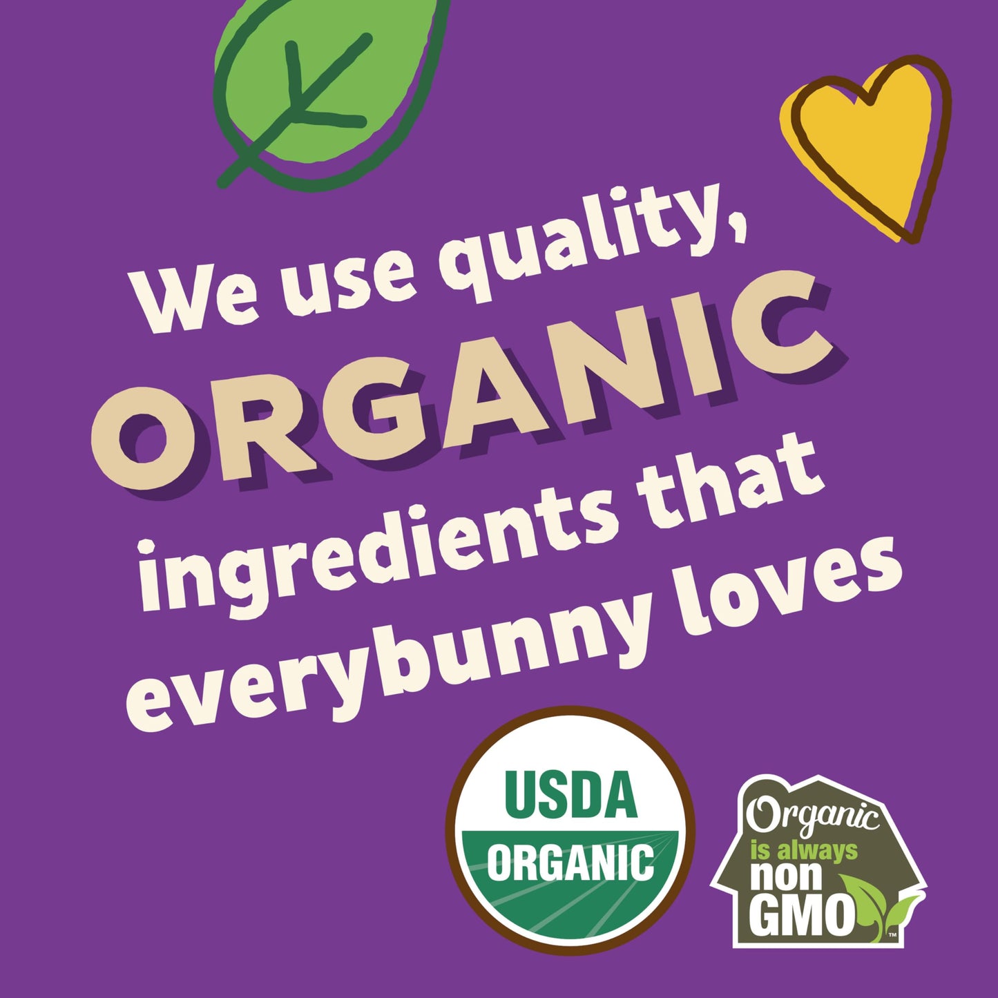 Annies Organic Friends Bunny Graham Snacks Chocolate Chip Chocolate  Honey 1125 oz
