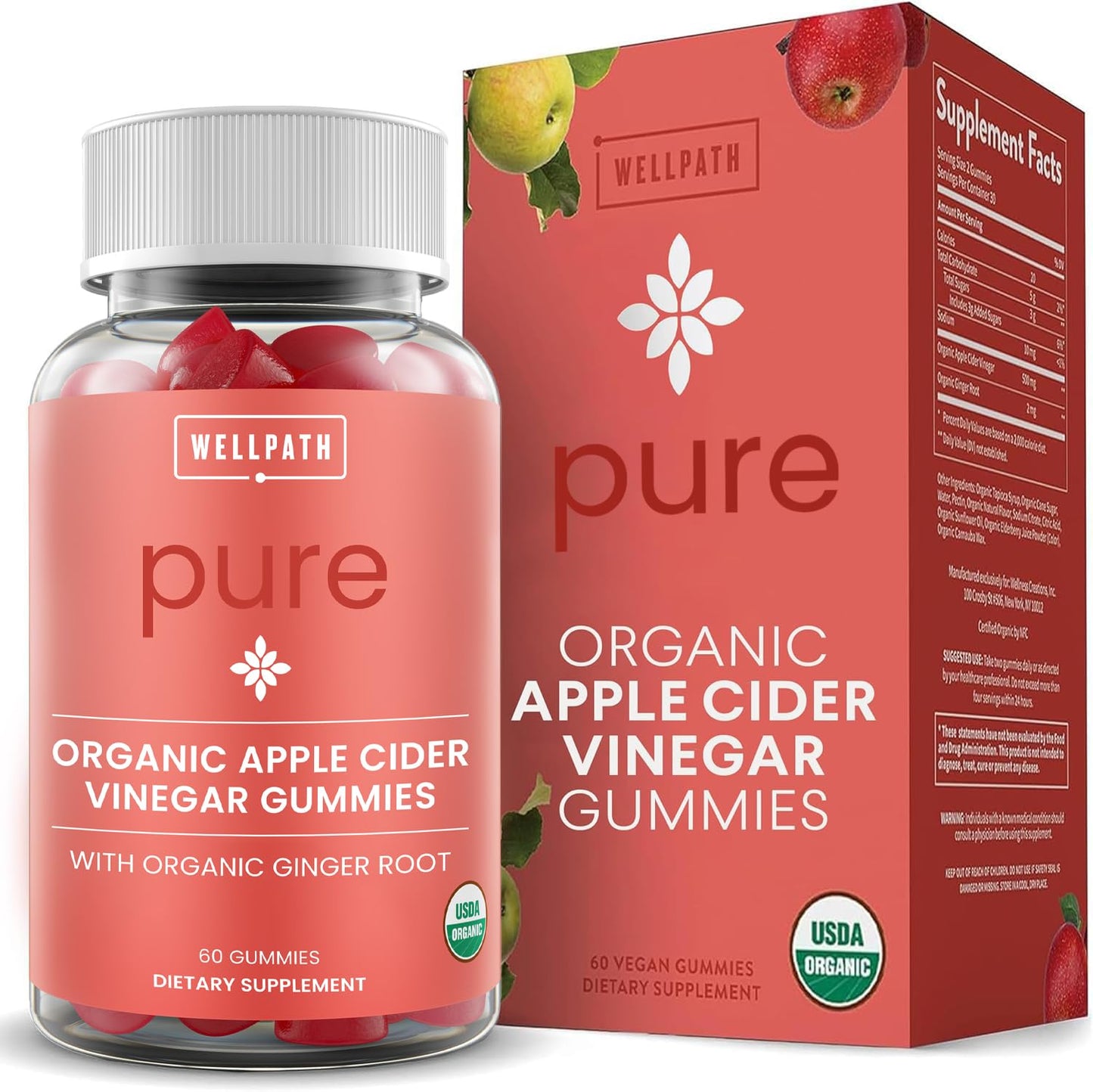 WellPath Organic Apple Cider Vinegar Gummies with The Mother - USDA Organic ACV Gummies - Ginger & Apple Cider Vinegar with Mother for Gut Health - Vegan, Non-GMO, 60 Ct