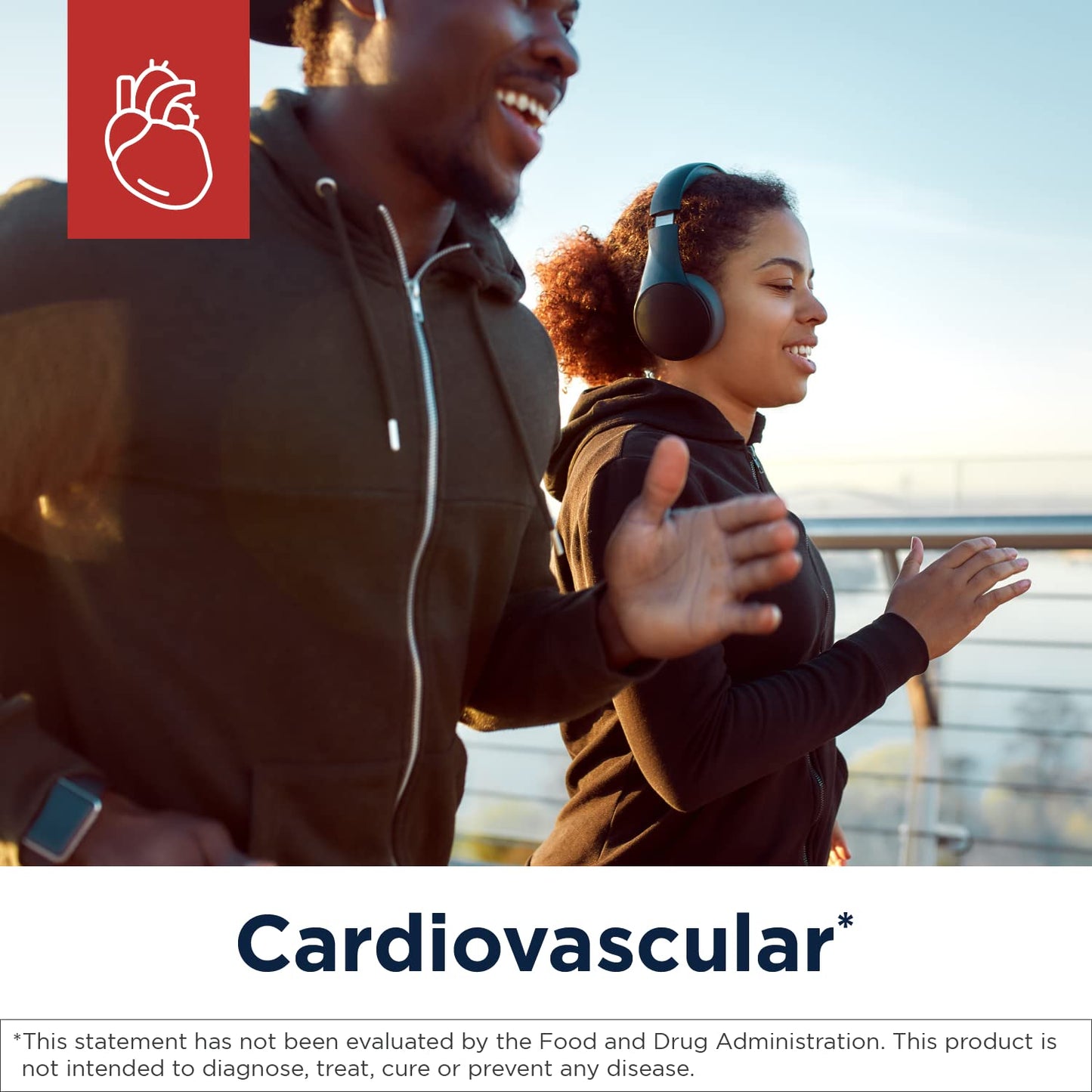 Designs for Health Carnitine Synergy - 400mg L-Carnitine (from Carnitine Tartrate) + 100mg Acetyl L-Carnitine Pills - Non-GMO + Vegetarian Supplement (120 Capsules)