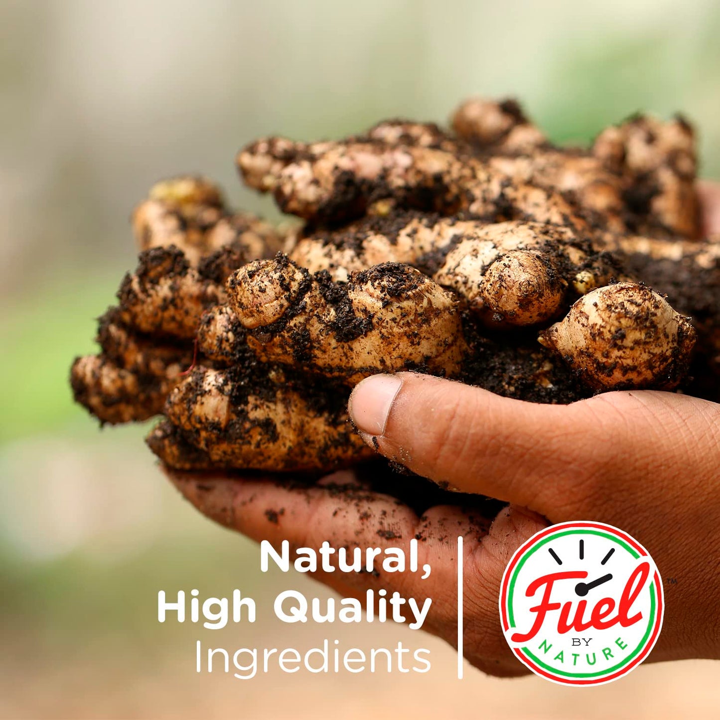 Fuel By Nature Dark Chocolate Covered Ginger Delicious Candied Ginger AllNatural Chocolate Candy Healthy Snack with No Artificial Flavors or Colors Resealable Bag 1 lb