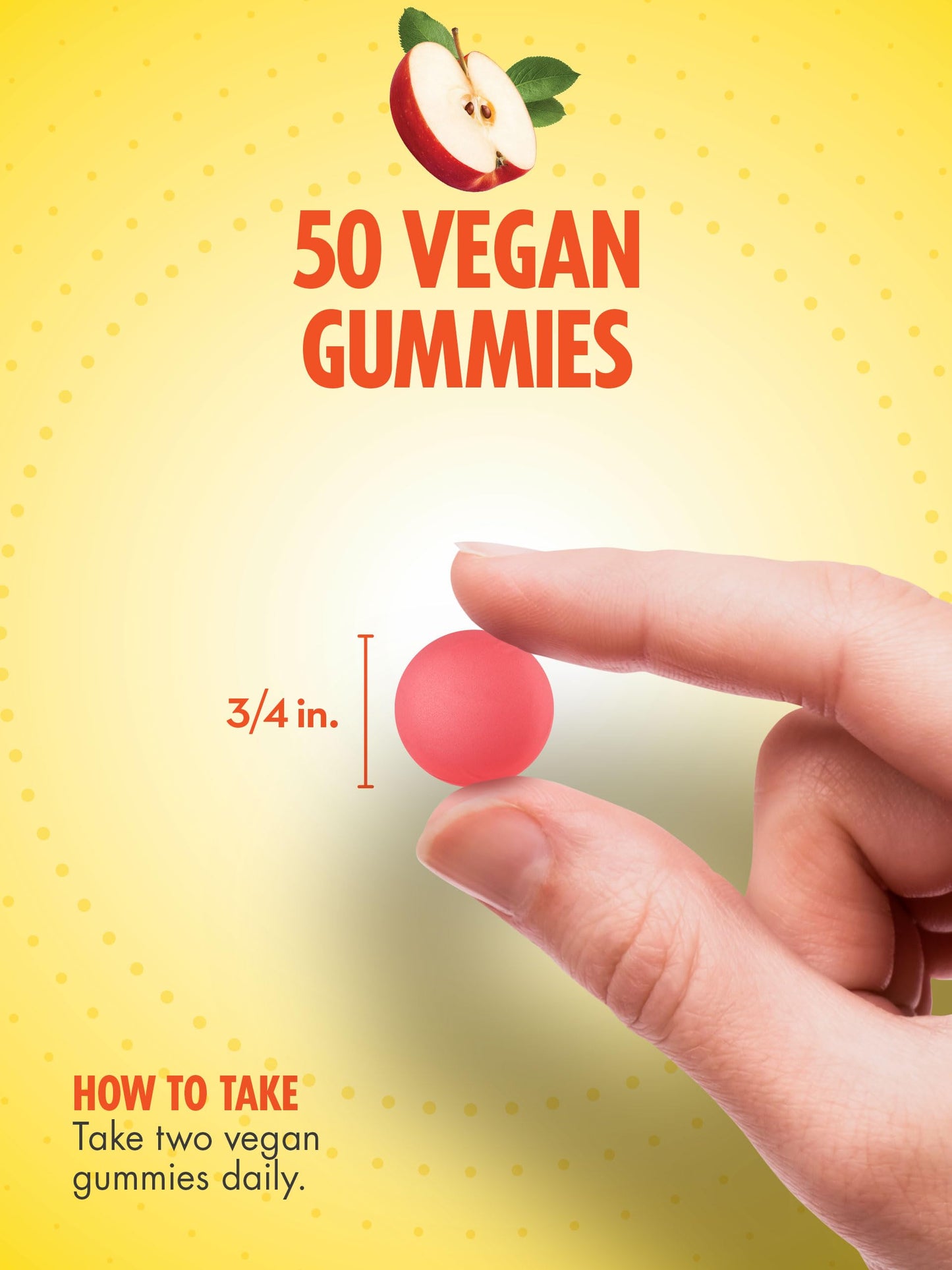 Sundance Apple Cider Vinegar Gummies | 50 Count | Apple Flavor | Vegan, Non-GMO, and Gluten Free Supplement