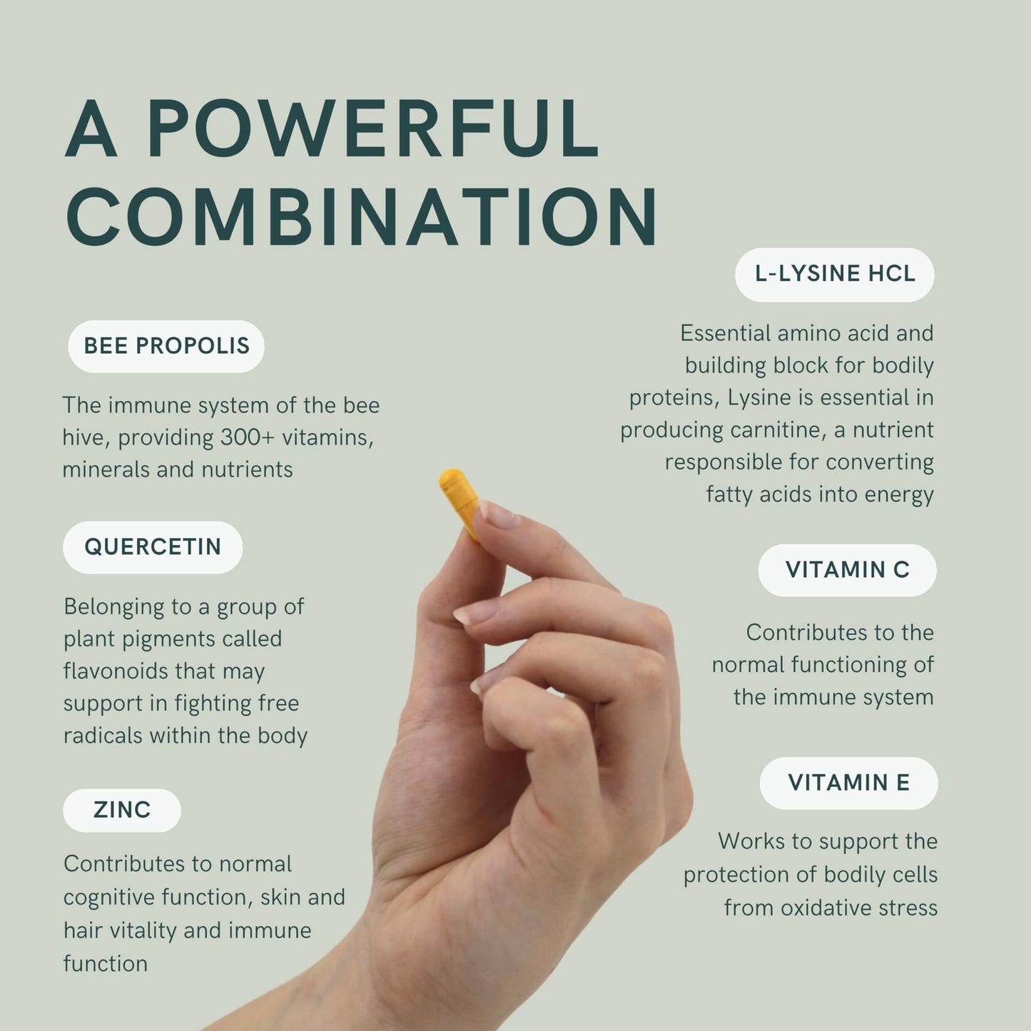 Herstat L-Lysine & Propolis Supplements High Potency L Lysine Immune Support Formula with 5:1 Propolis Extract, Quercetin, VIT C, VIT E and Zinc