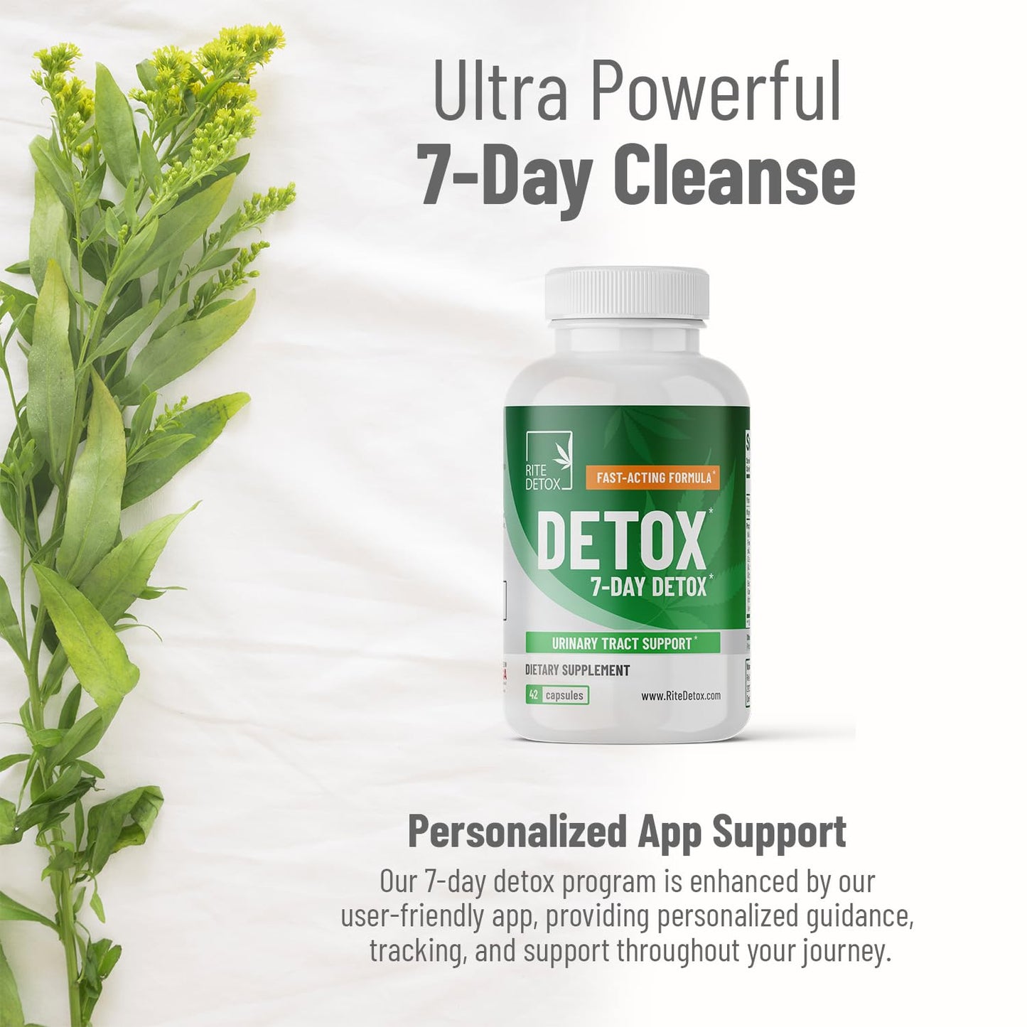 Detox and Cleanse | 7-Day Detox Program | Urinary Tract Support | with Mobile App Support