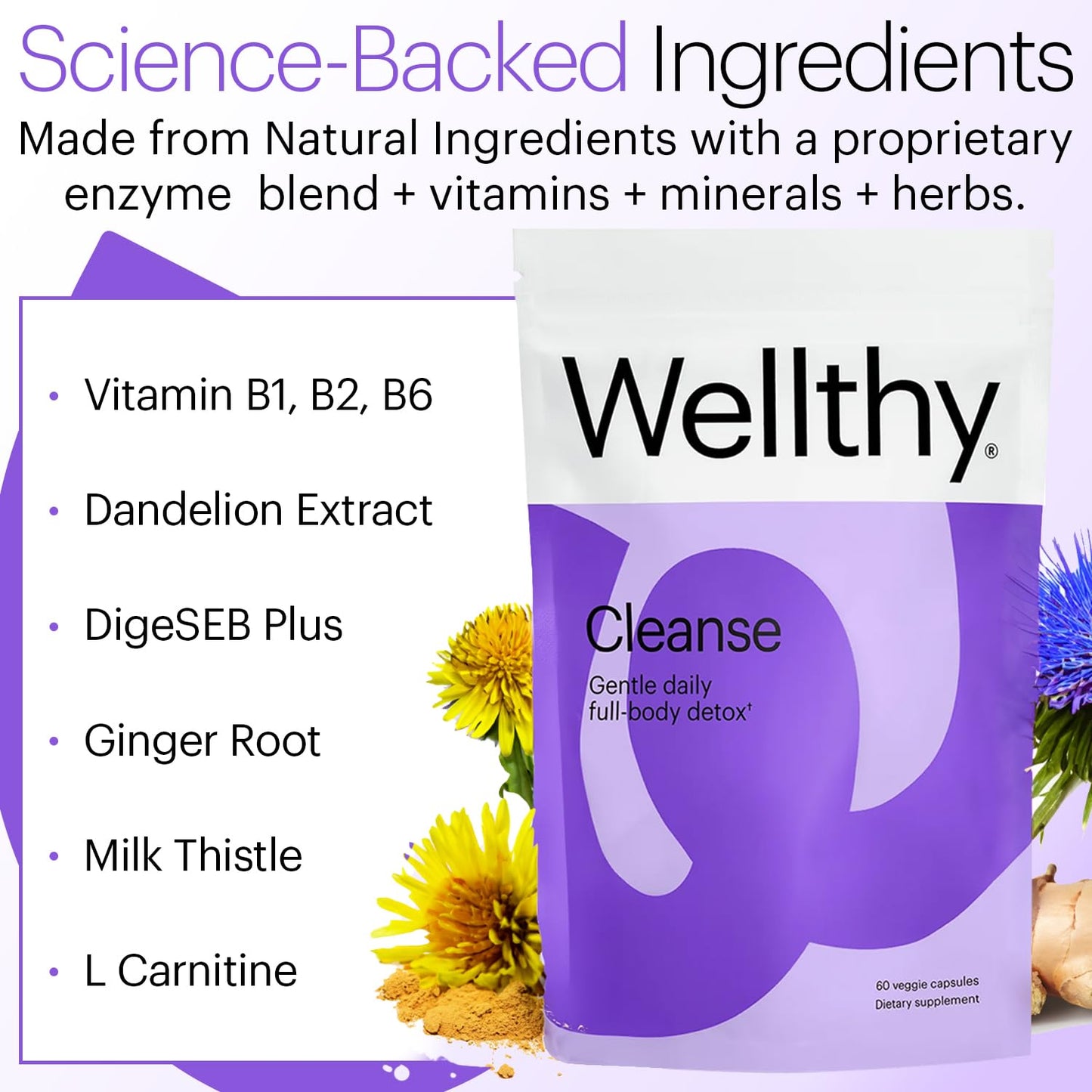 Wellthy Full Body Detox and Immune Support - Advanced Digestive Health, Gut Cleanse and Bloating Relief - All Natural Formula with Milk Thistle, Dandelion Extract and L-Carnitine | 30-Day Supply